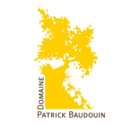Domaine Patrick Baudouin