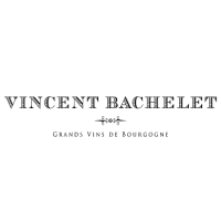 Domaine Vincent Bachelet