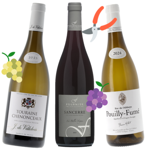Coffret Vendanges 2025