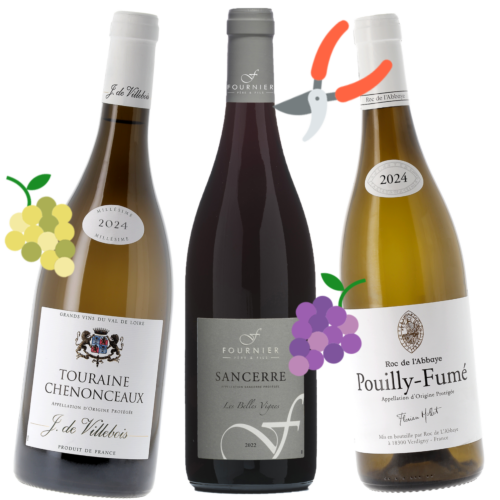 Coffret Vendanges 2025