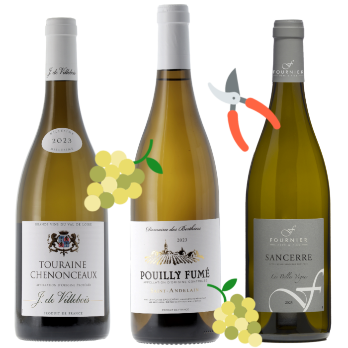 Coffret Vendanges