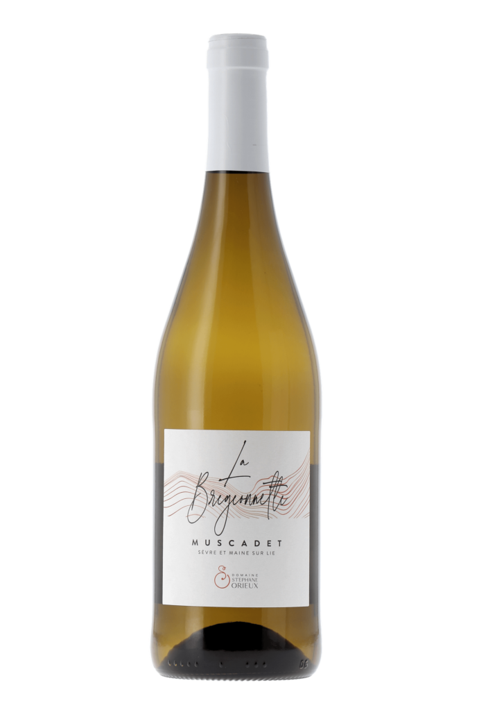 Muscadet Sèvre et Maine La Bregeonnette 2023 - frontbs