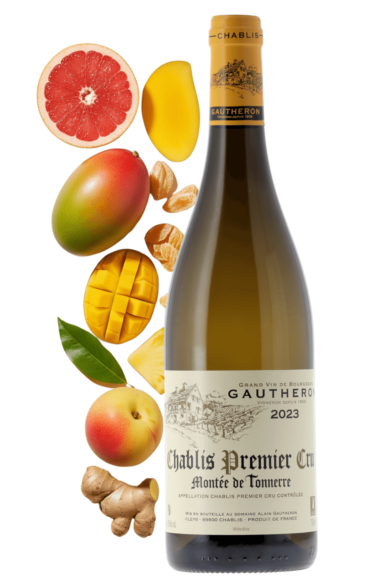 Chablis Premier Cru Montée de Tonnerre Domaine Gautheron 2023 - frontbs