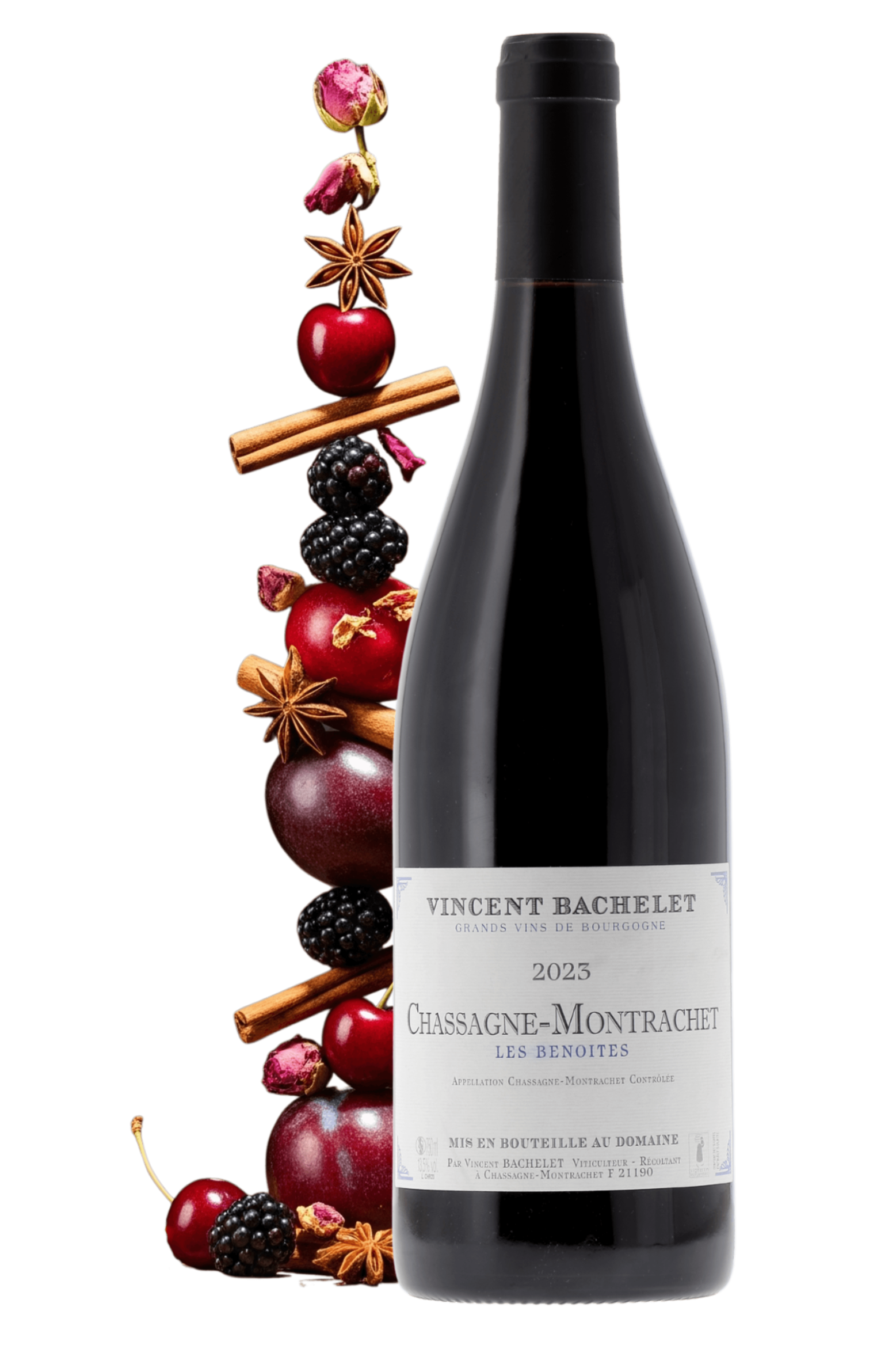 Chassagne-Montrachet Les Benoites Domaine Vincent Bachelet 2023 - frontbs