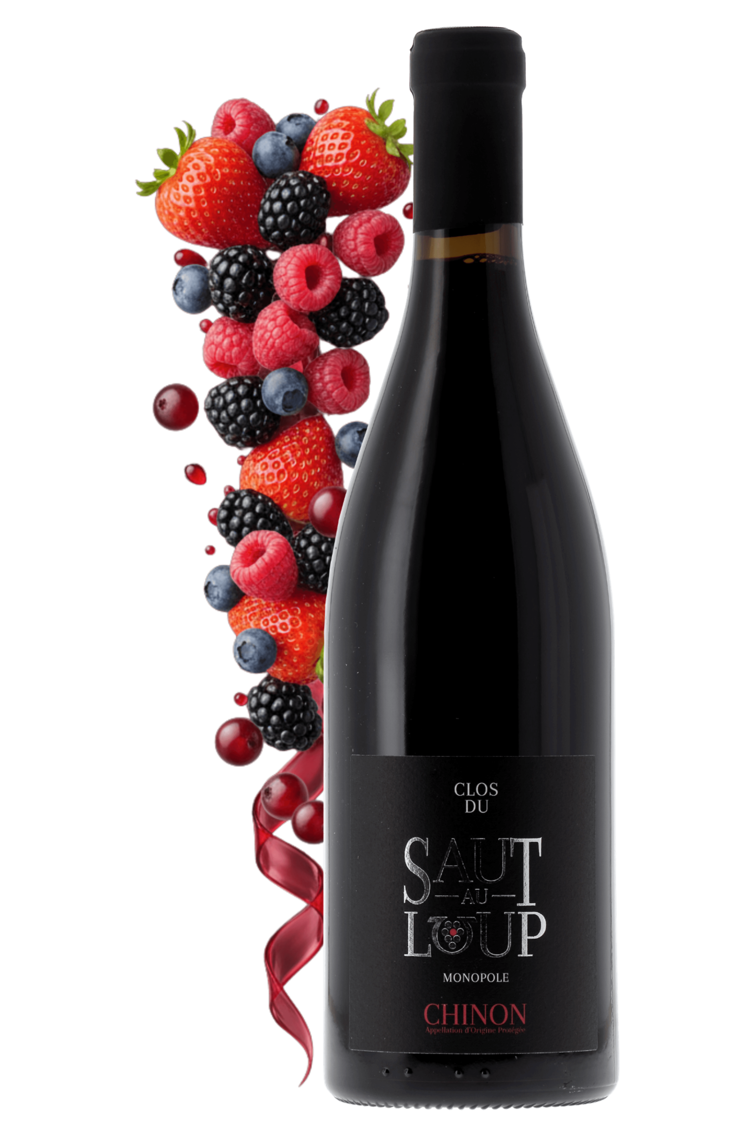 Chinon Clos du Saut au Loup Domaine Dozon 2022 - frontbs