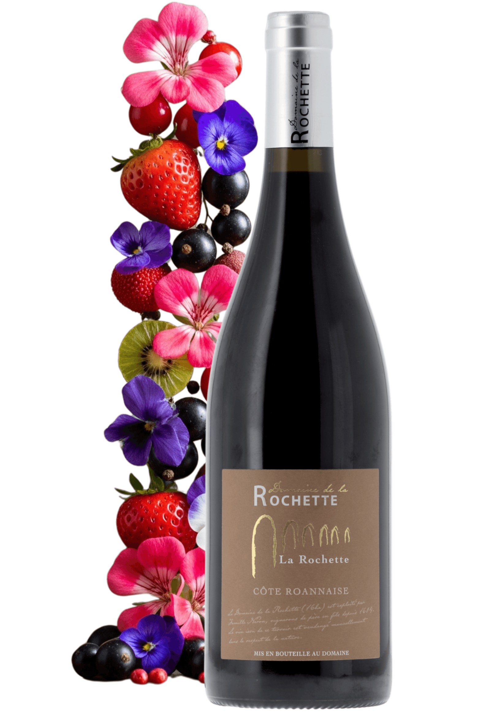 Côte Roannaise La Rochette Domaine de la Rochette 2022 - frontbs