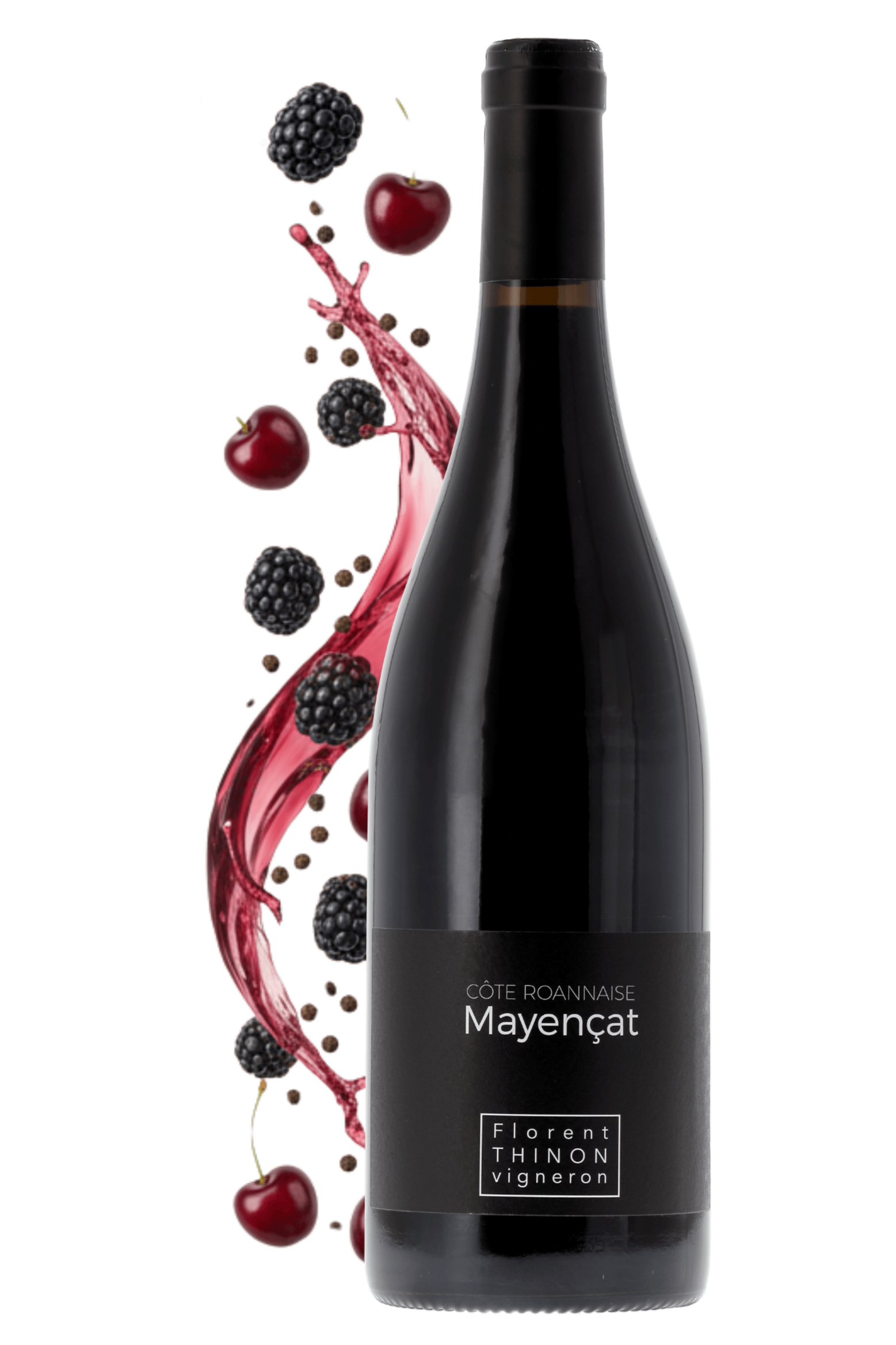 Côte Roannaise Mayençat Domaine Florent Thinon 2023 - frontbs