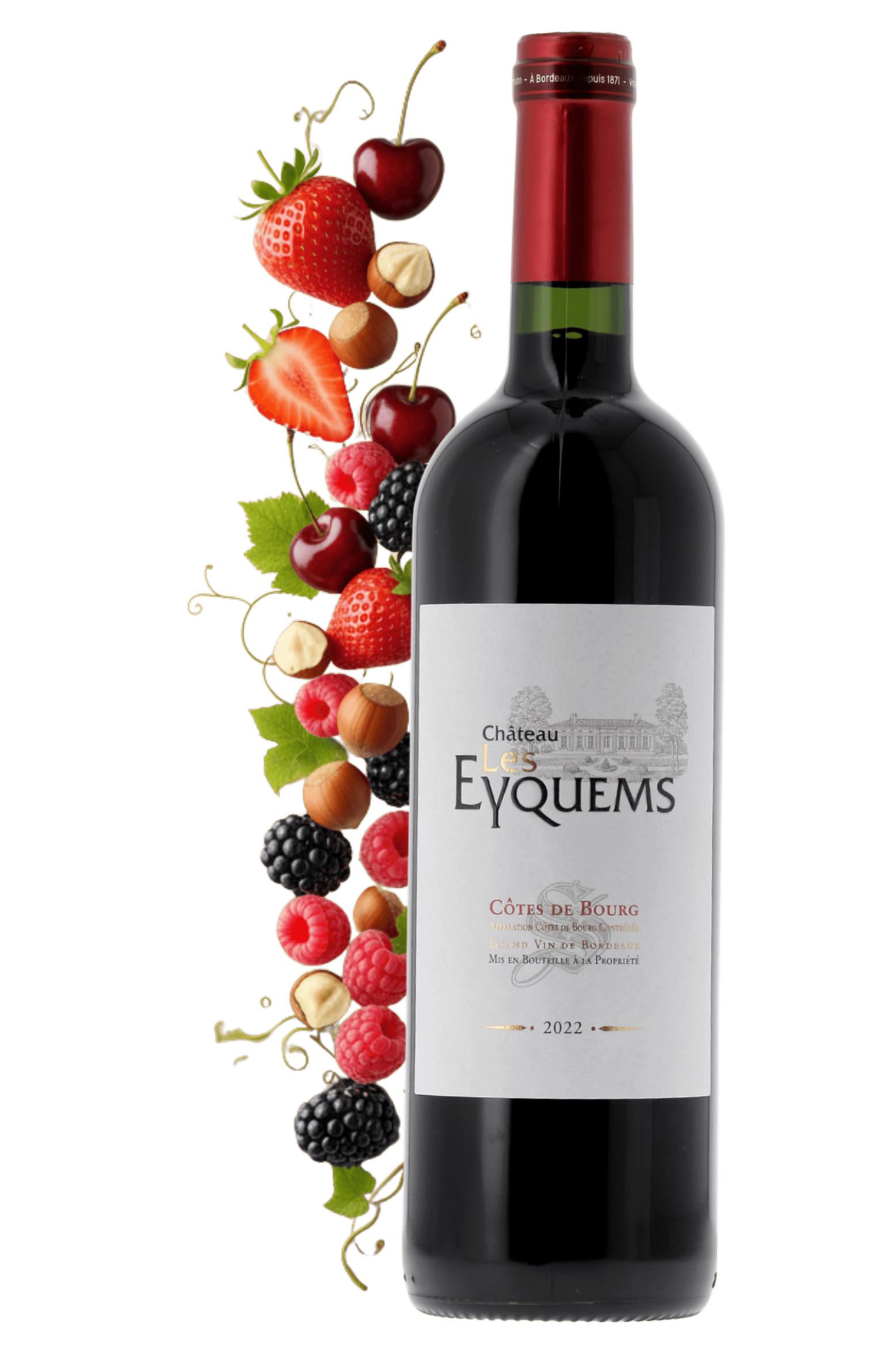 Côtes de Bourg Château Les Eyquems 2022 - frontbs