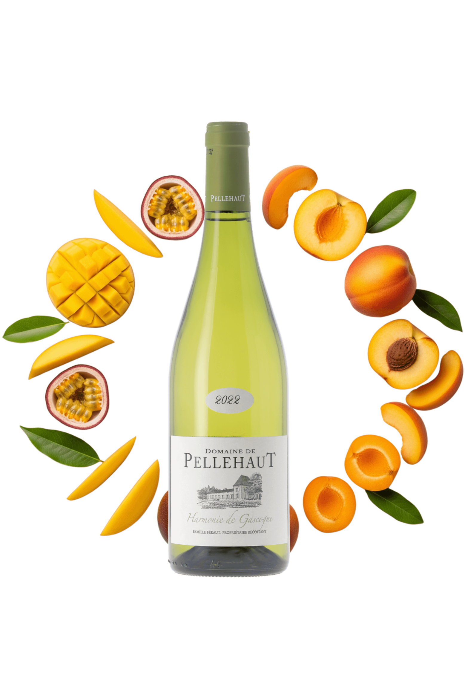 Côtes de Gascogne Harmonie de Gascogne Domaine de Pellehaut 2022 - frontbs