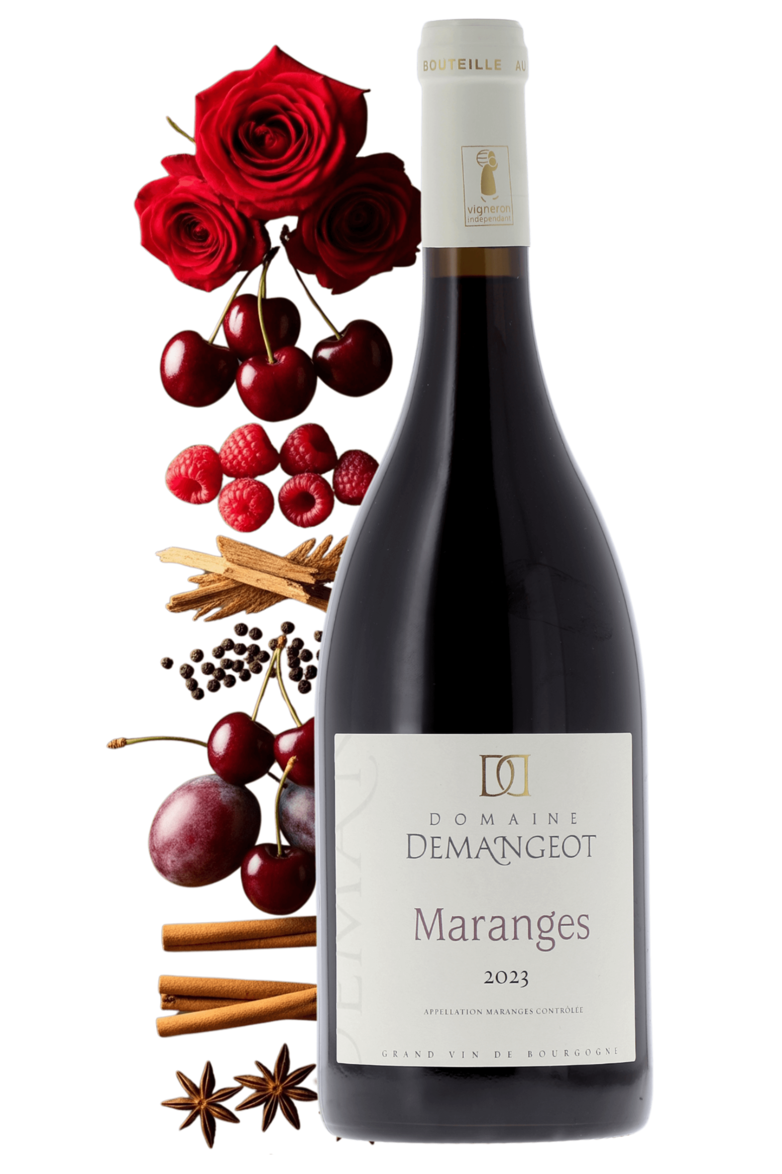Maranges Domaine Demangeot 2023 - frontbs
