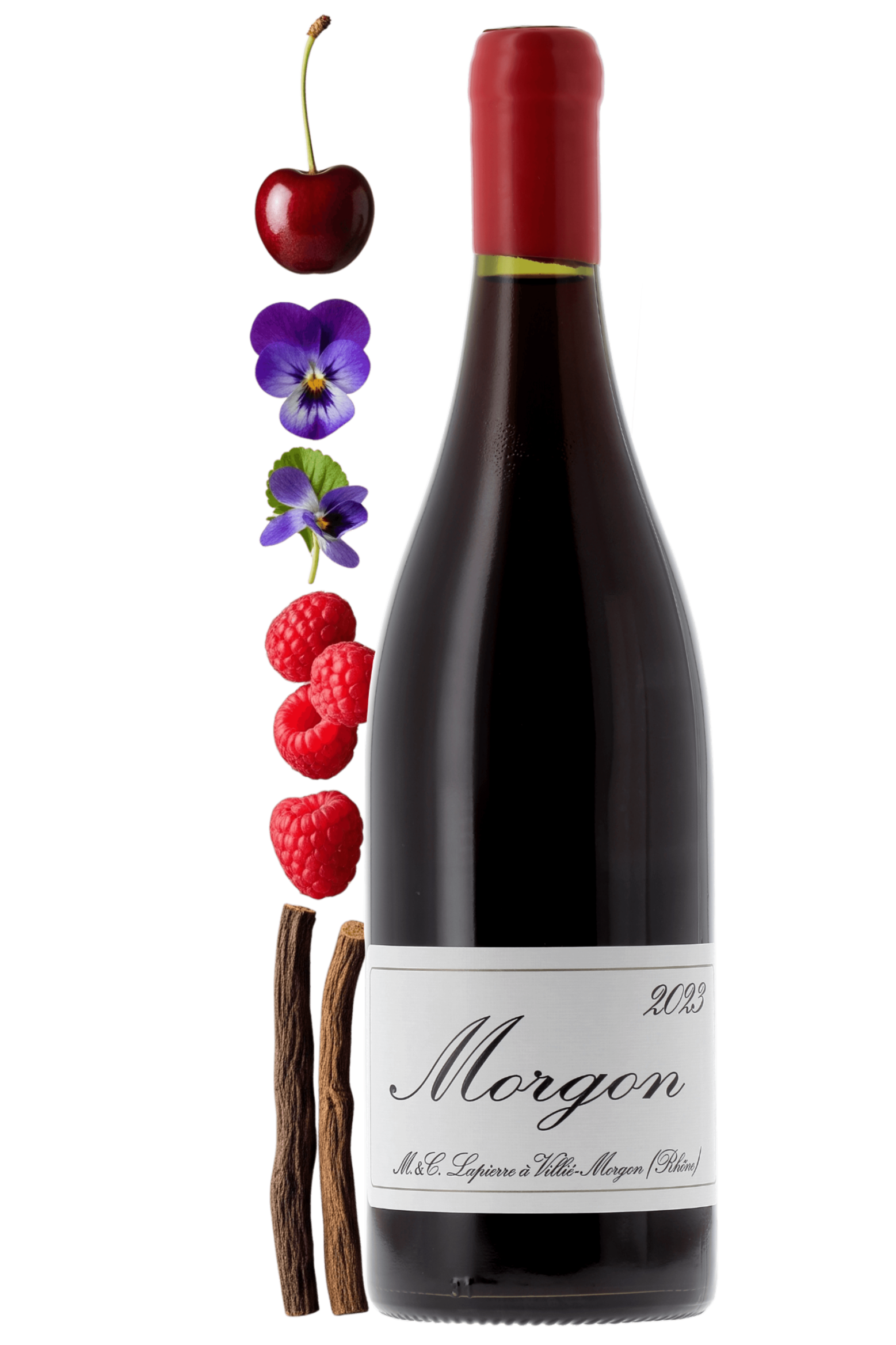 Morgon Domaine Marcel Lapierre 2023 - frontbs