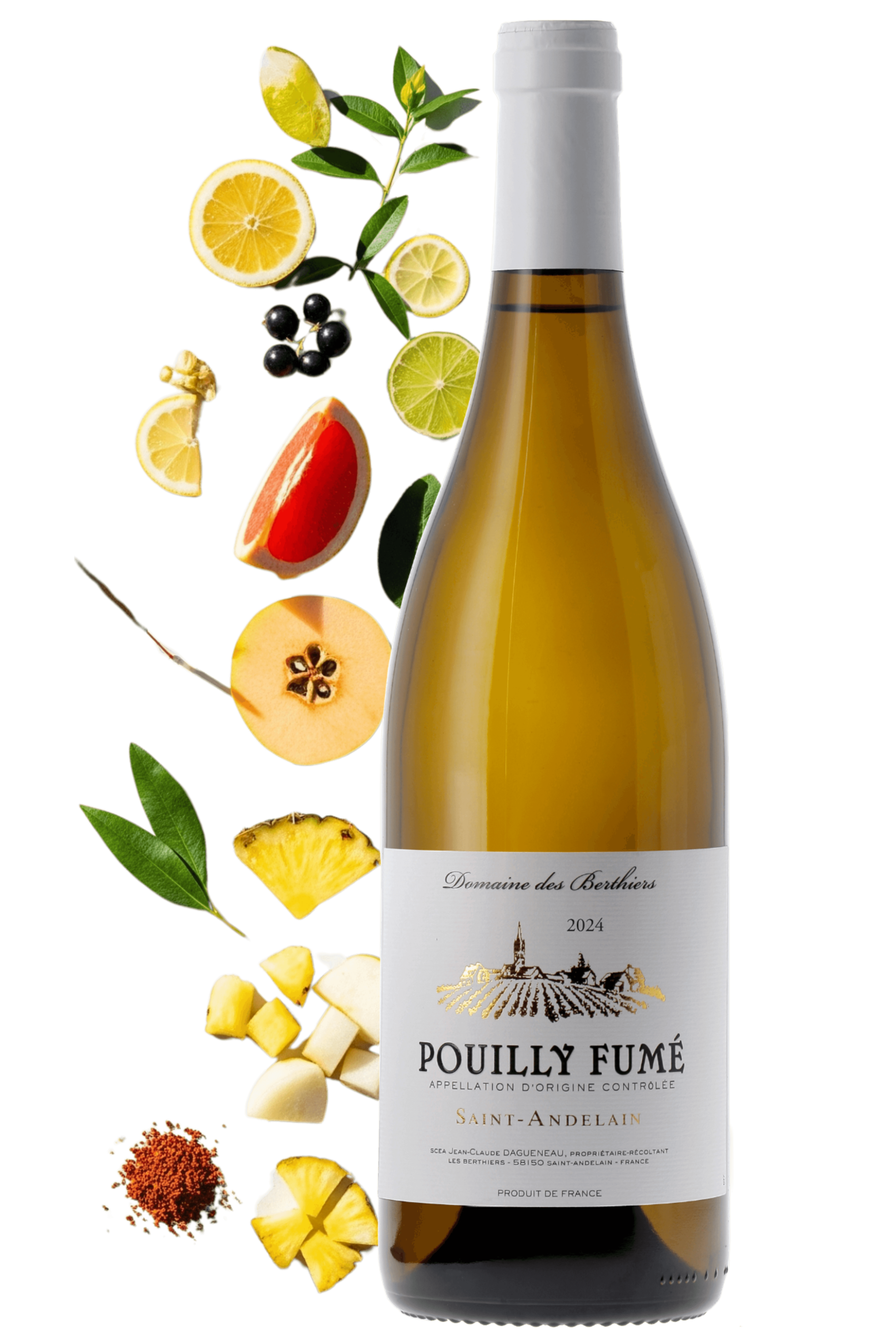Pouilly-Fumé Saint Andelain Domaine des Berthiers 2024 - frontbs