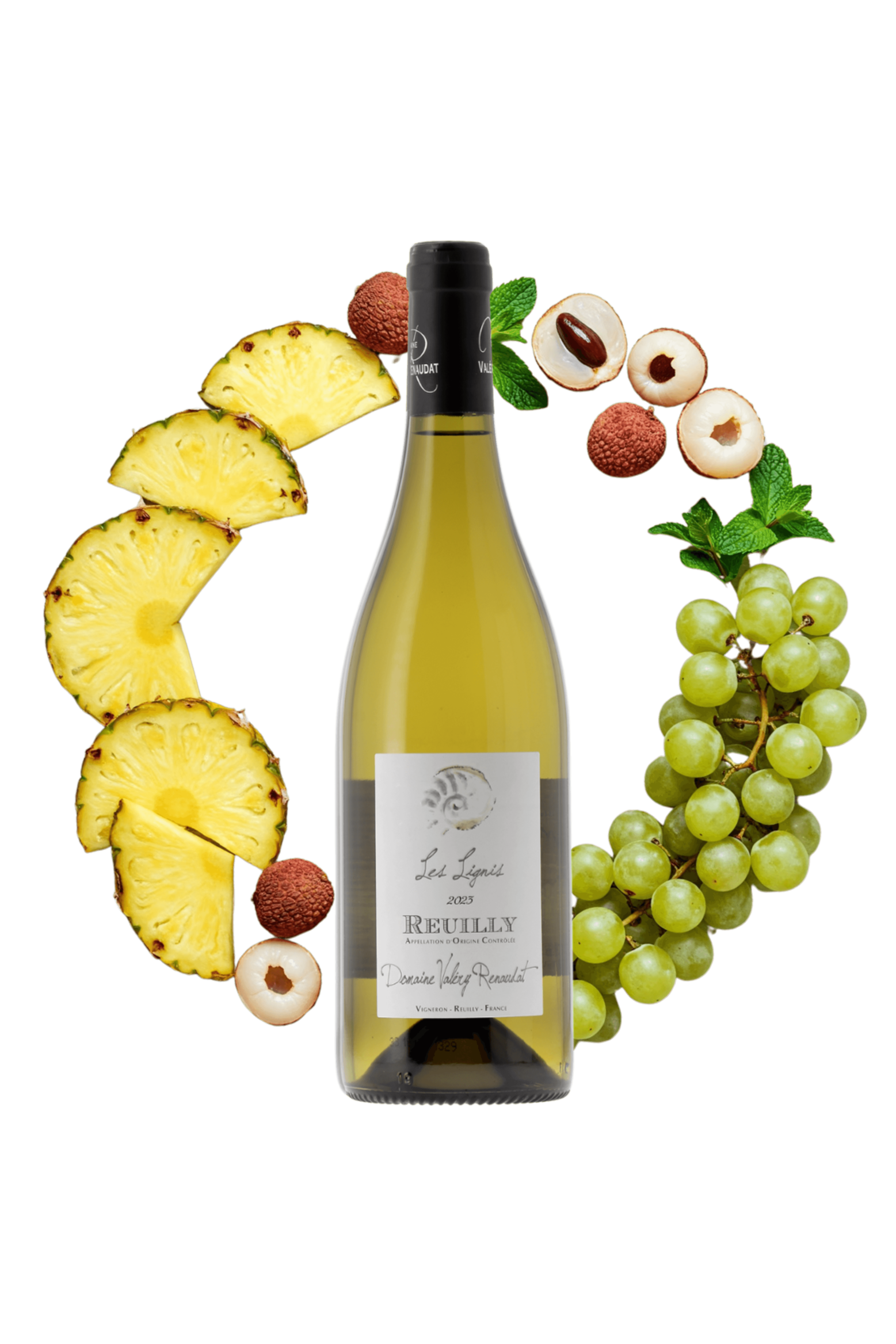 Reuilly Les Lignis Domaine Valery Renaudat 2023 - frontbs