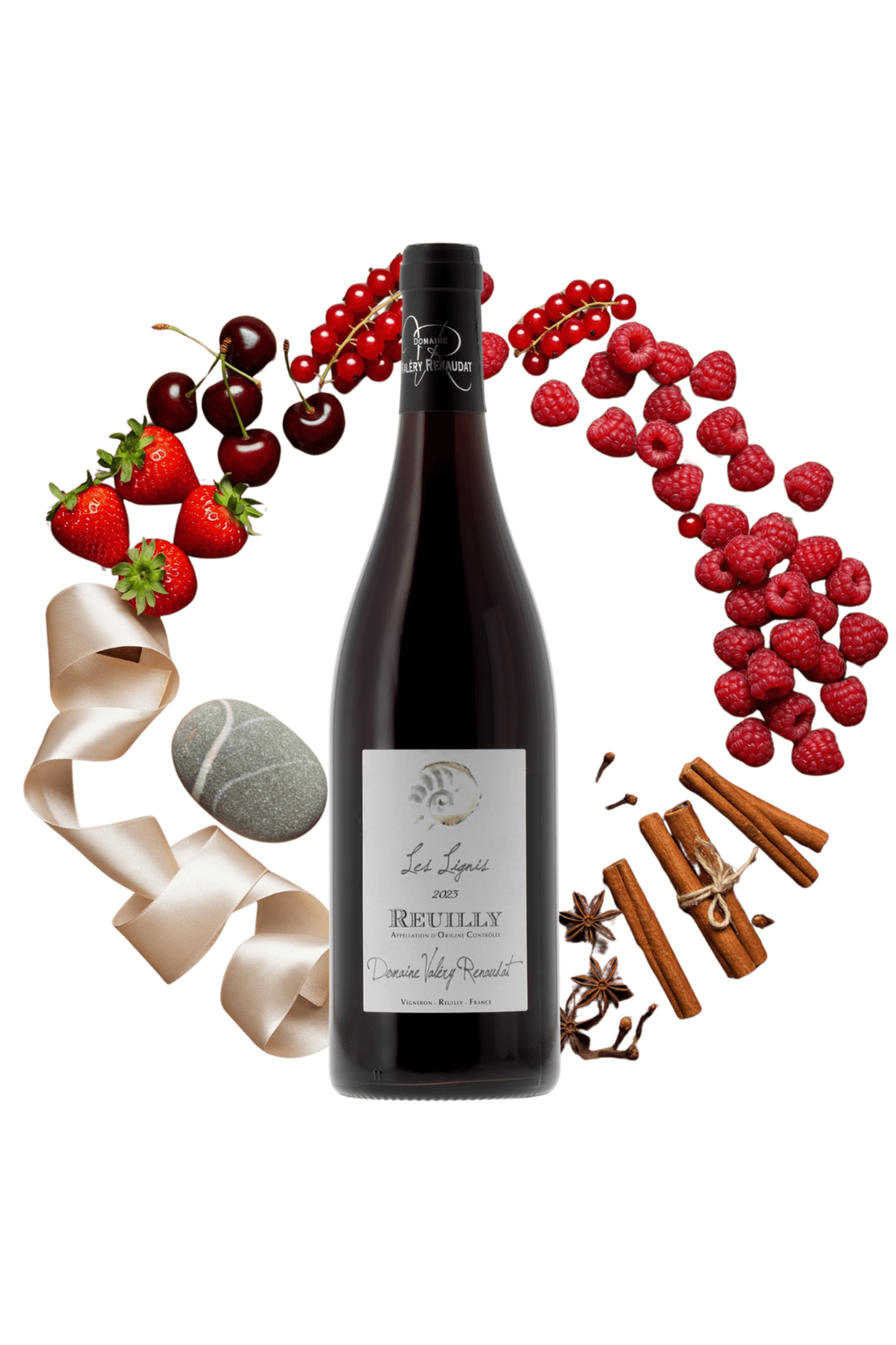 Reuilly Les Lignis Domaine Valery Renaudat 2023 - frontbs