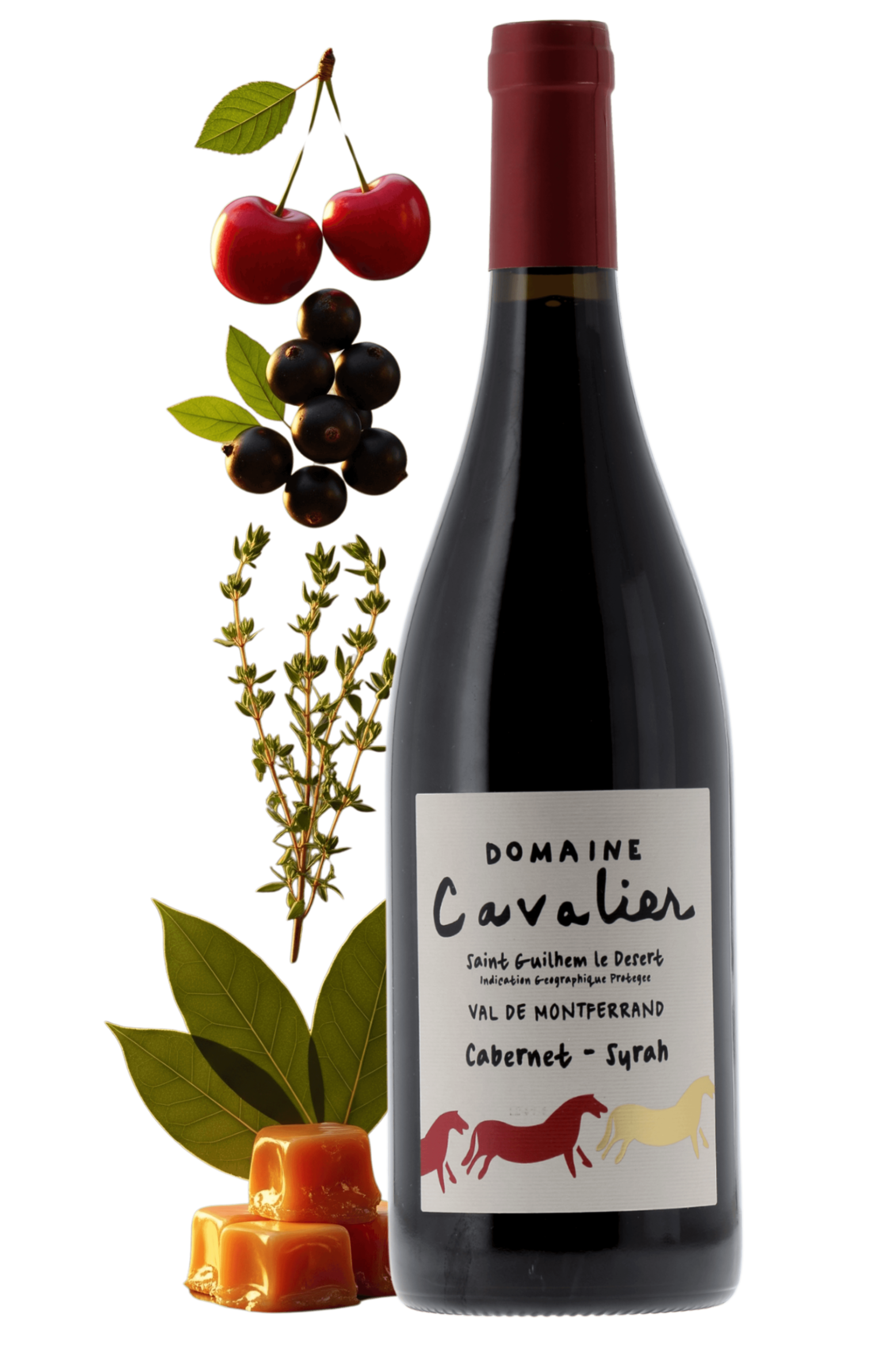 Saint-Guilhem-le-Désert Domaine Cavalier 2023 - frontbs