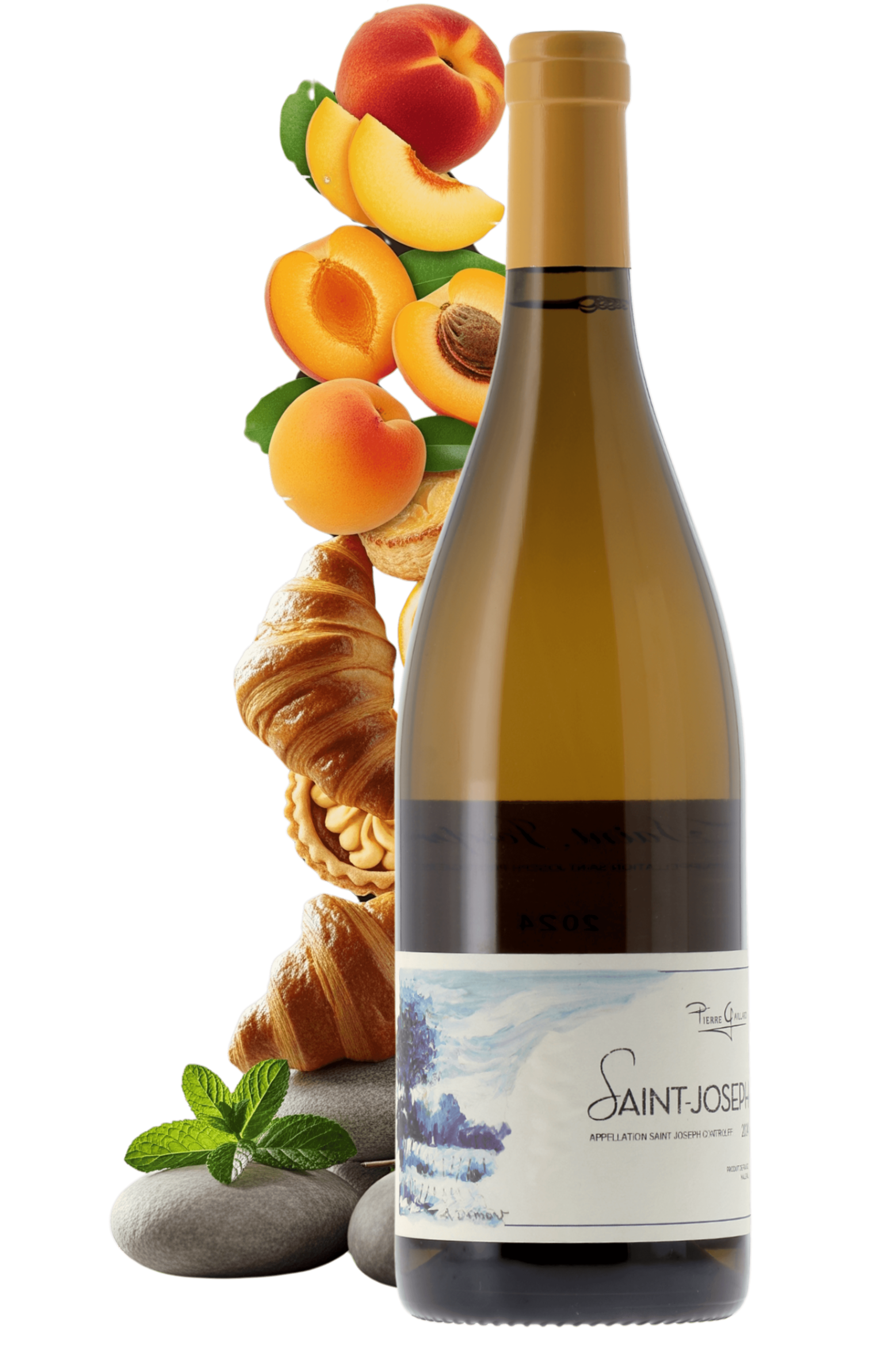 Saint-Joseph Domaine Pierre Gaillard 2024 - frontbs