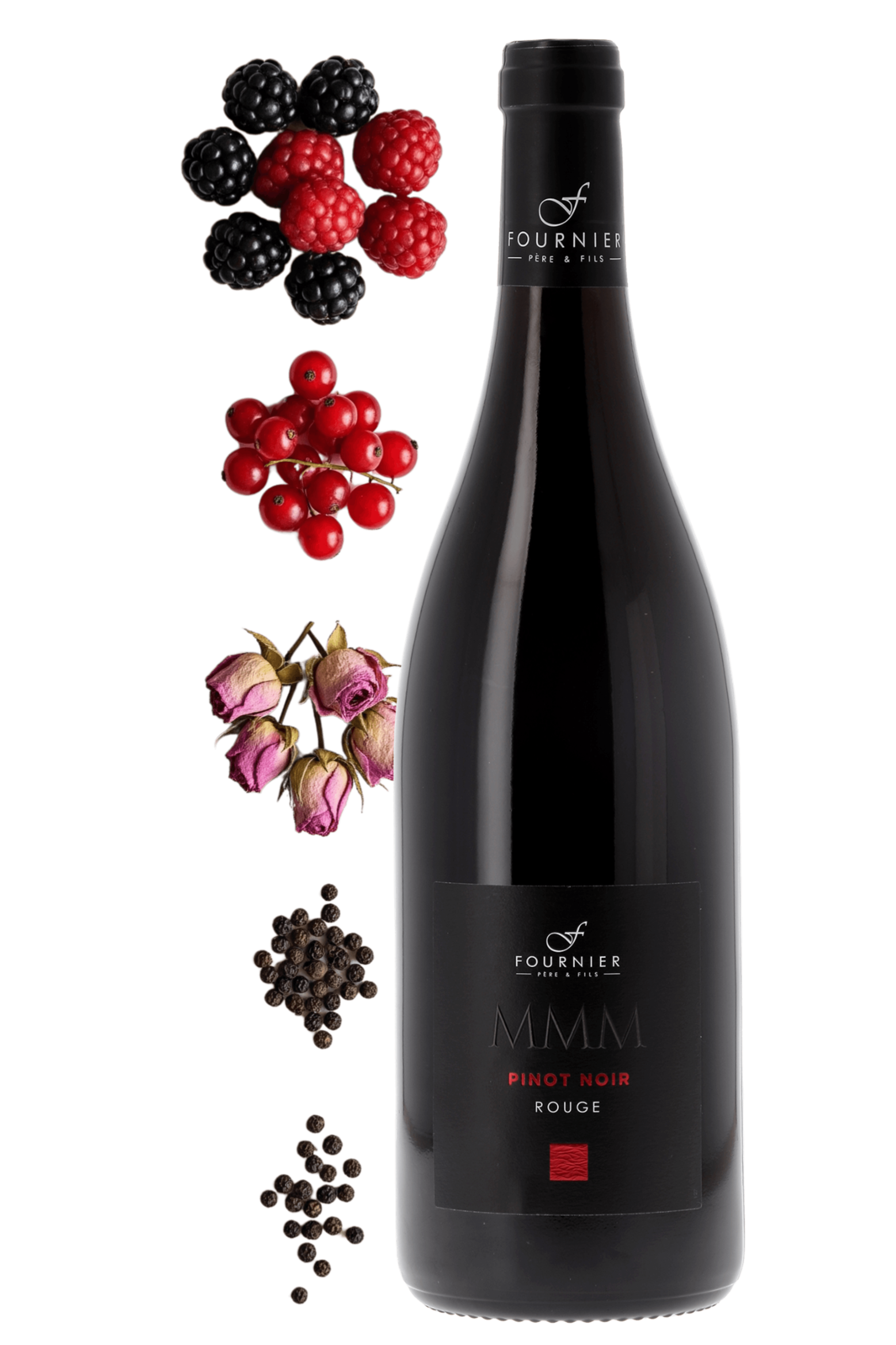 Vin de France MMM Pinot noir Fournier Père et Fils 2024 - frontbs