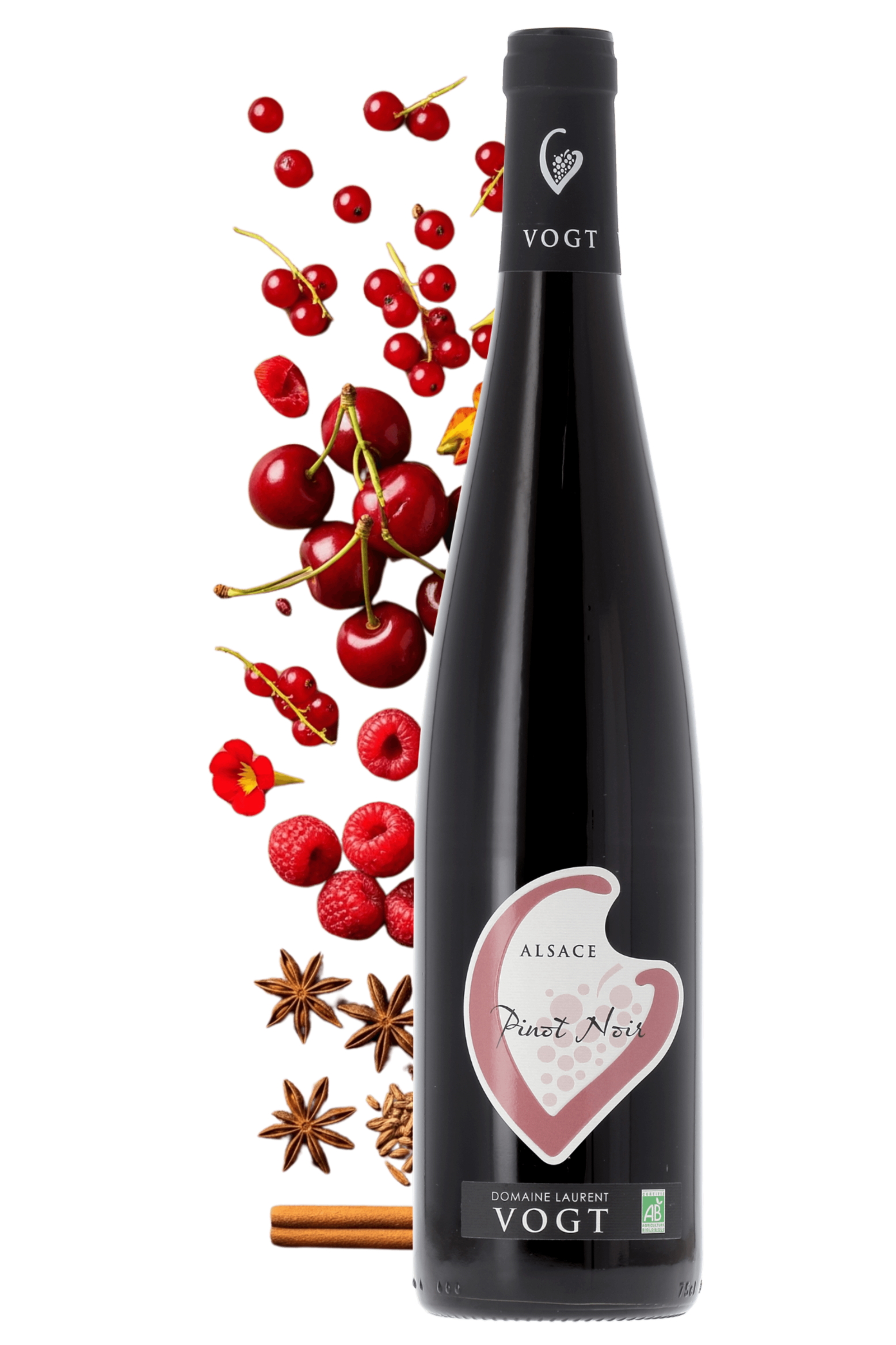 Alsace Domaine Laurent Vogt 2024 - frontbs