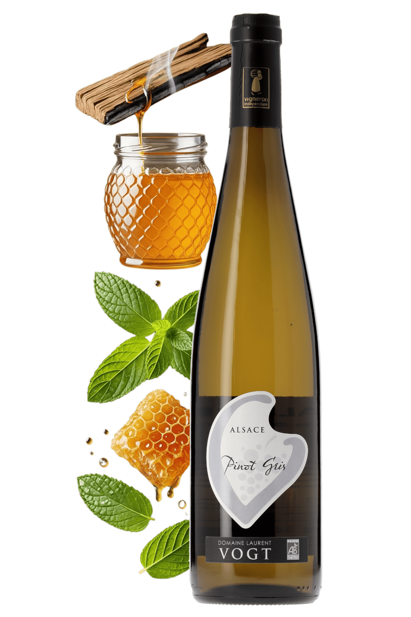 Alsace Pinot Gris Domaine Laurent Vogt 2023 - frontbs