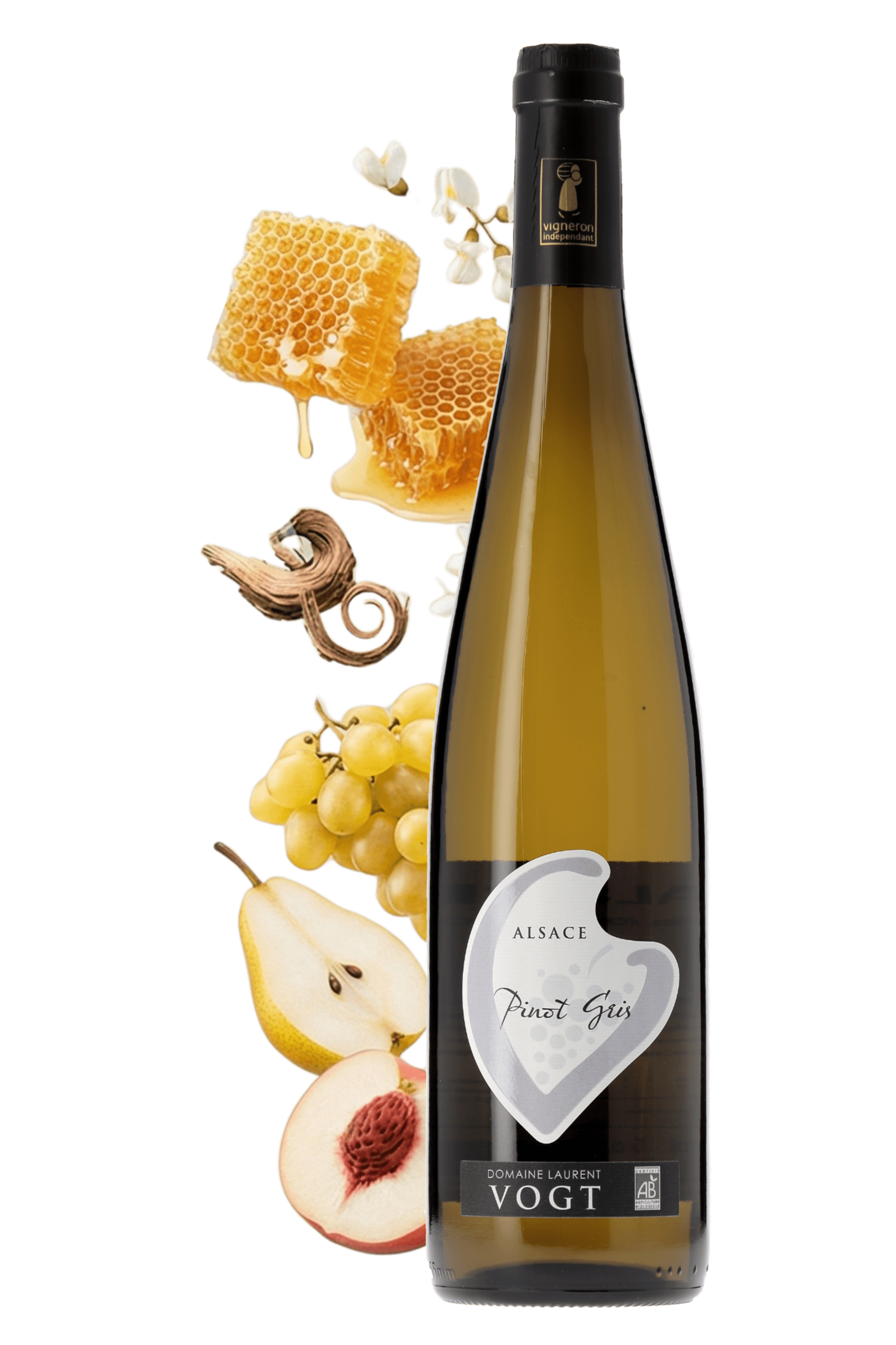 Alsace Pinot Gris Domaine Laurent Vogt 2024 - frontbs