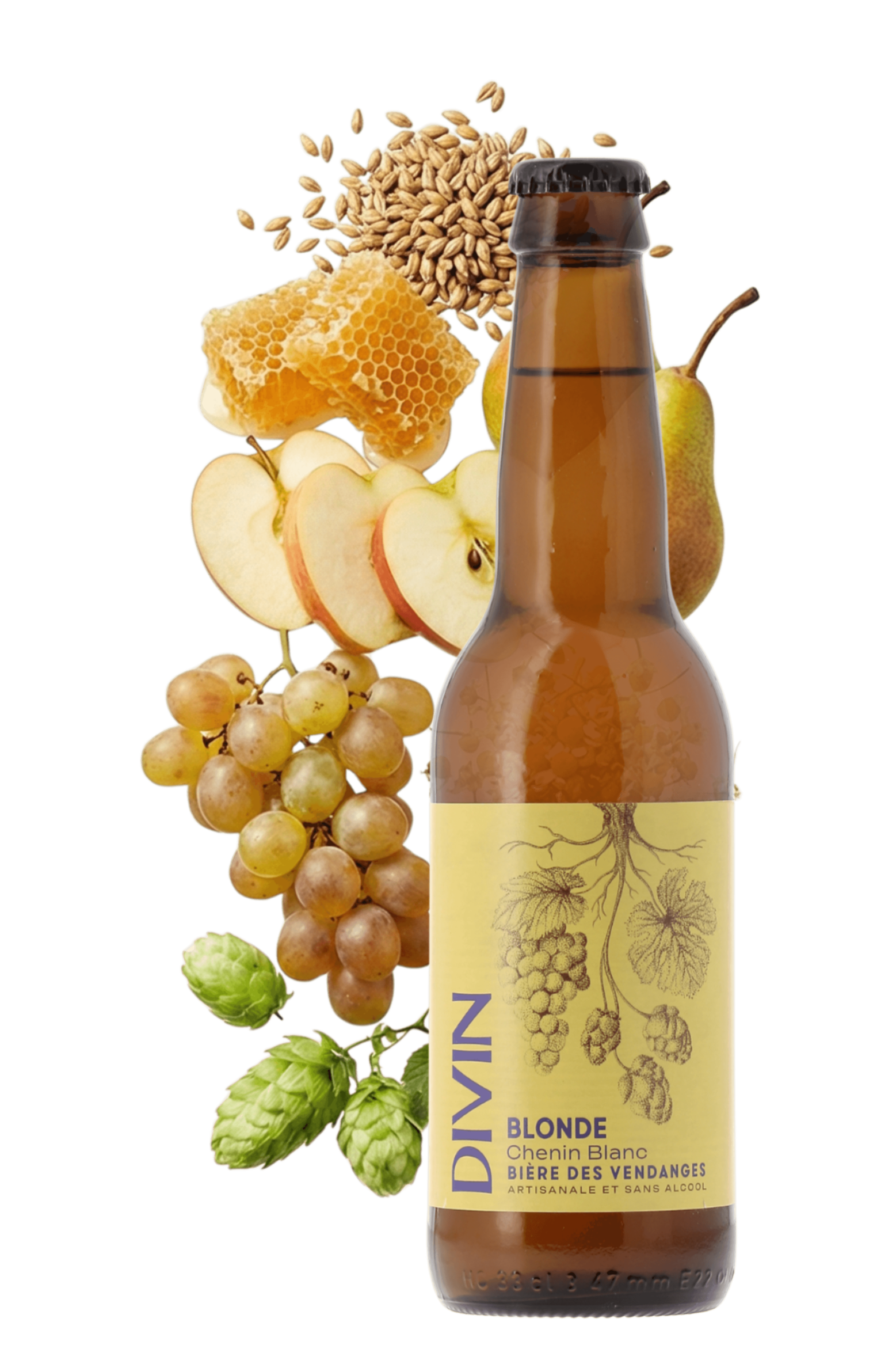 Bière des vendanges sans alcool - Blonde Chenin Blanc - Divin - frontbs