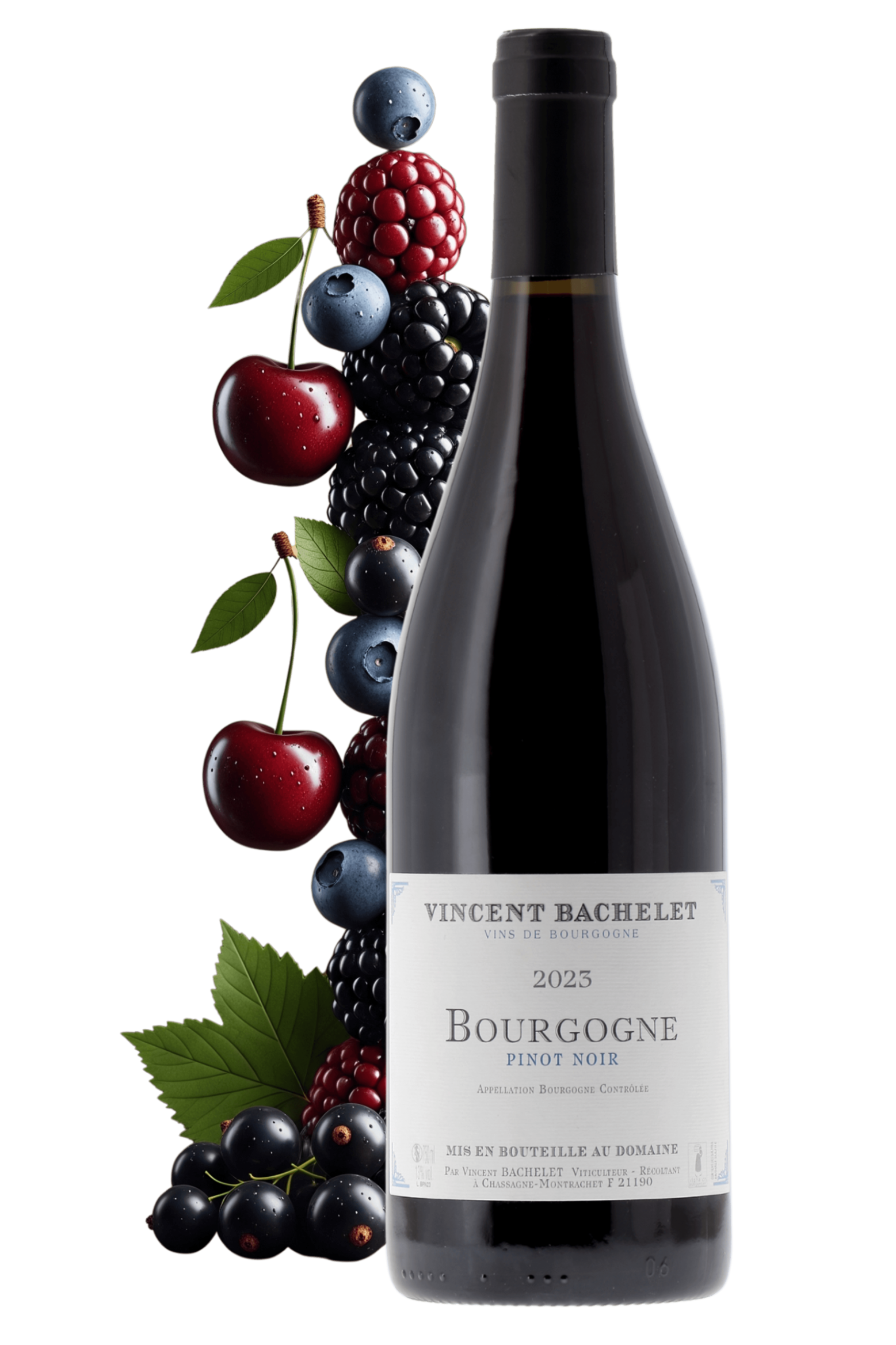 Bourgogne Domaine Vincent Bachelet 2023 - frontbs