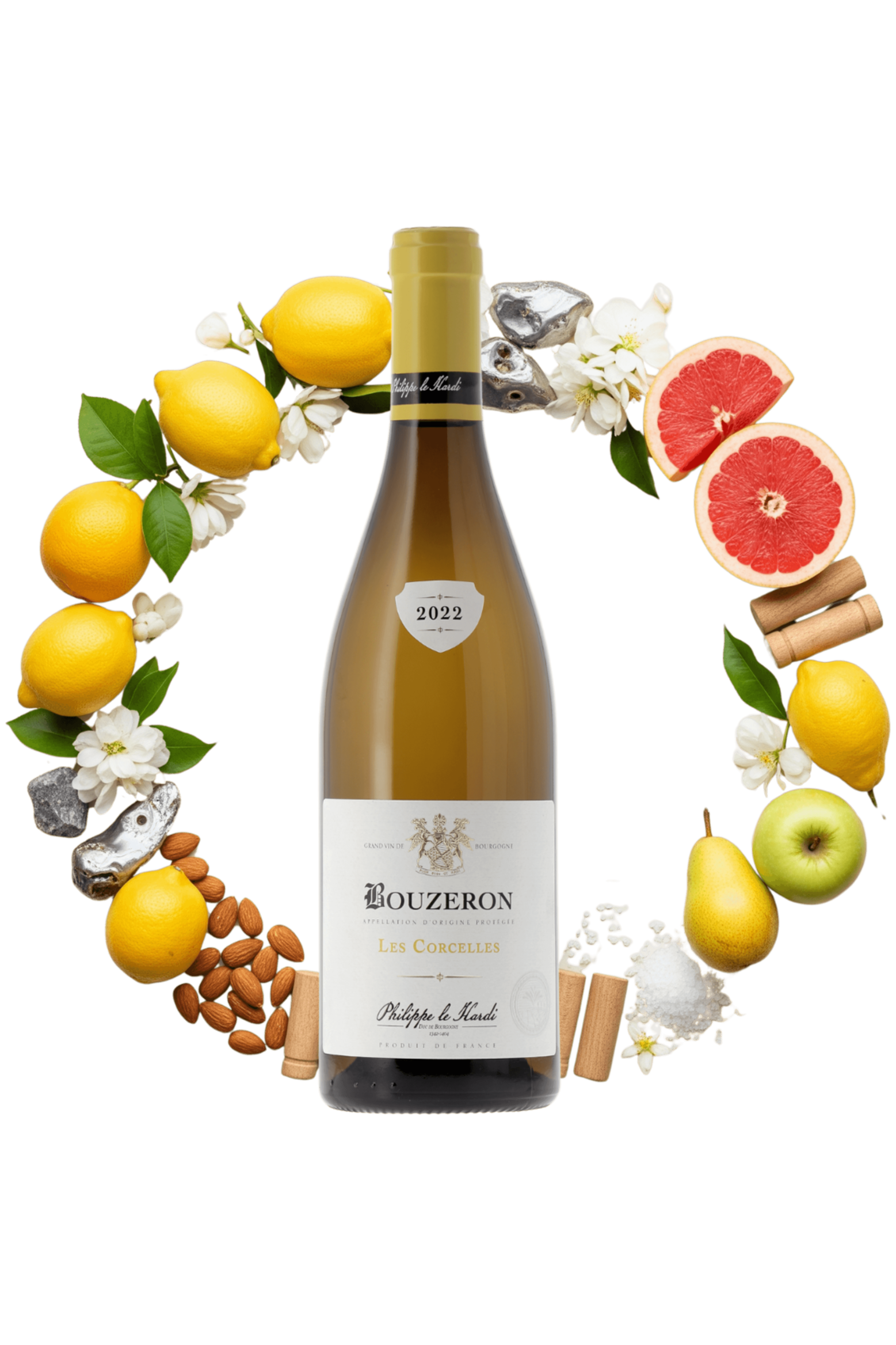 Bouzeron Les Corcelles Philippe le Hardi 2022 - frontbs