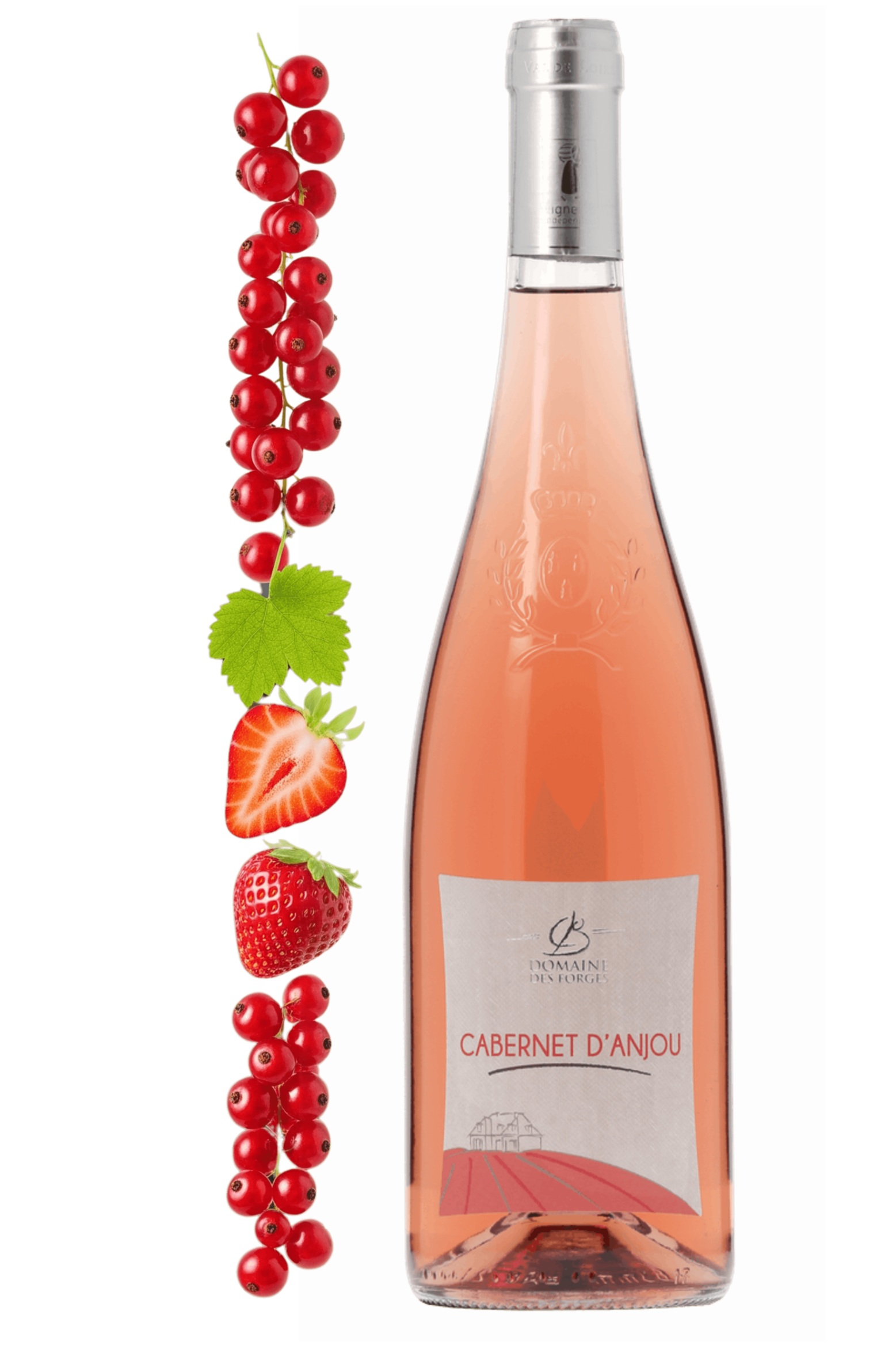 Cabernet d'Anjou Domaine des Forges 2024 - frontbs