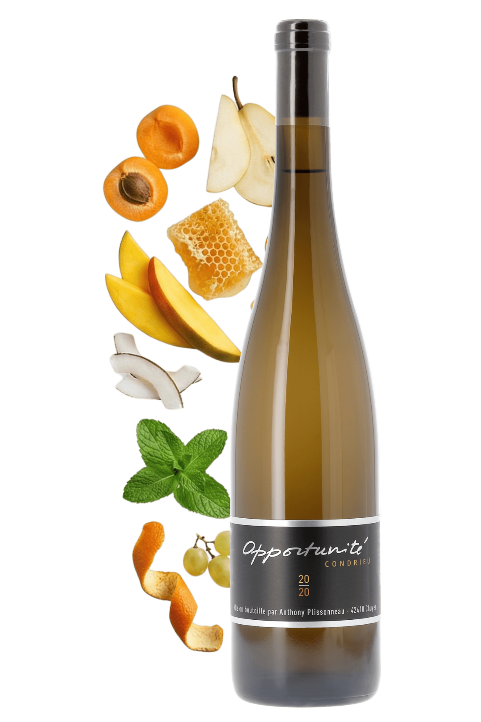 Condrieu Opportunité Domaine Anthony Plissonneau 2020 - frontbs