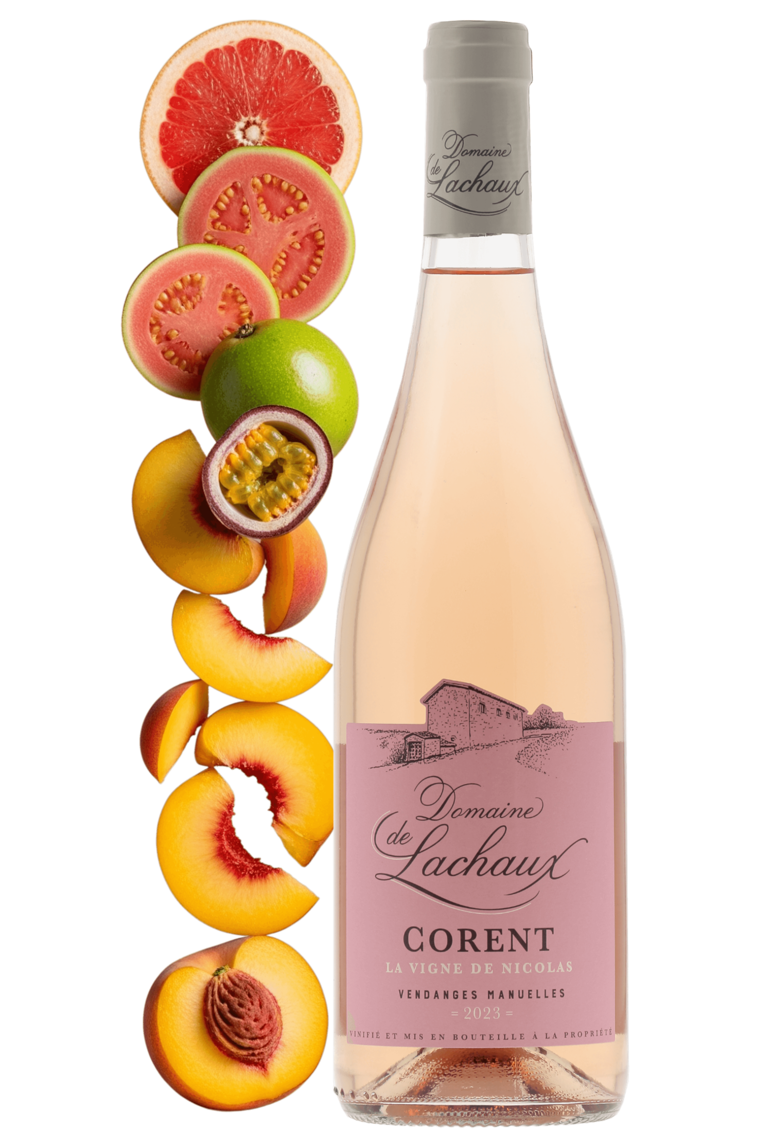 Côtes d'Auvergne Corent Domaine de Lachaux 2023 - frontbs