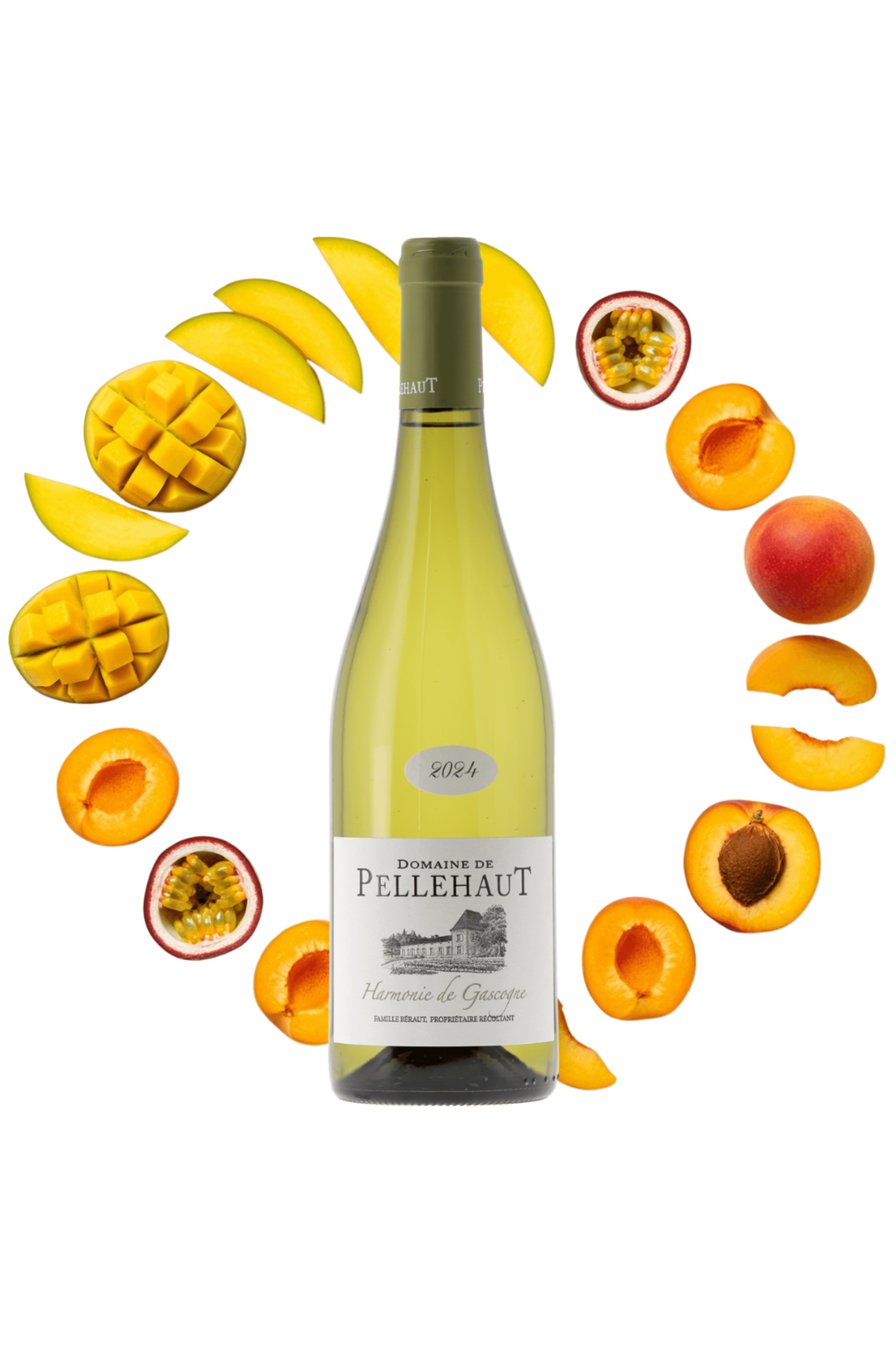 Côtes de Gascogne Harmonie de Gascogne Domaine de Pellehaut 2024 - frontbs