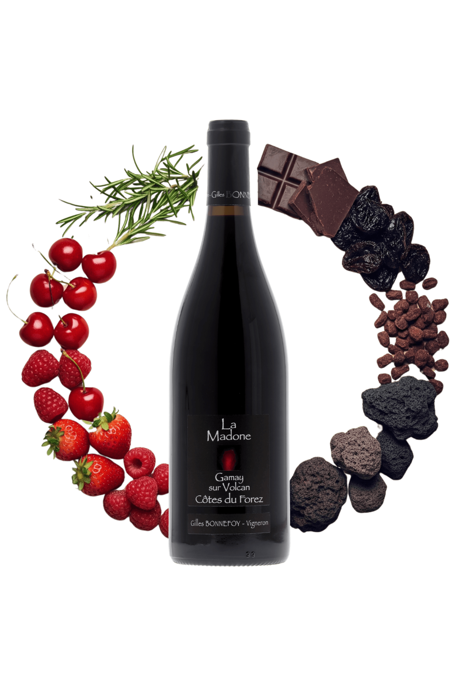 Côtes du Forez La Madone Les Vins de la Madone 2023 - frontbs