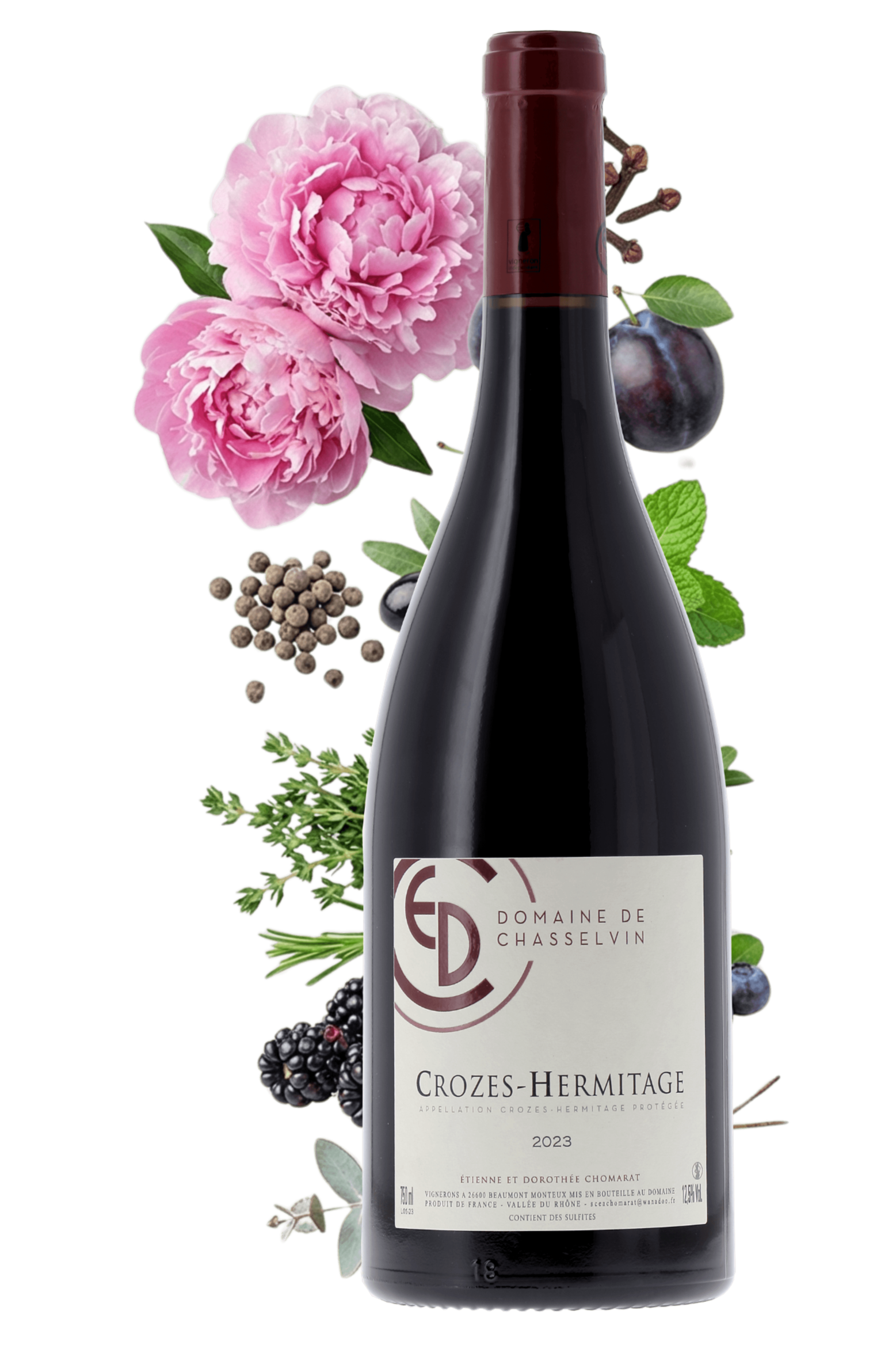 Crozes-Hermitage Domaine Domaine de Chasselvin 2023 - frontbs