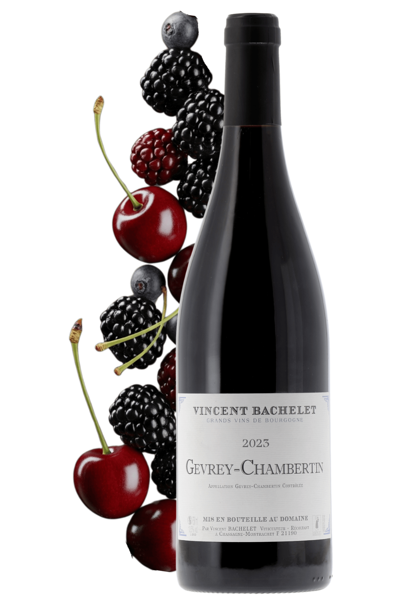Gevrey-Chambertin Domaine Vincent Bachelet 2023 - frontbs