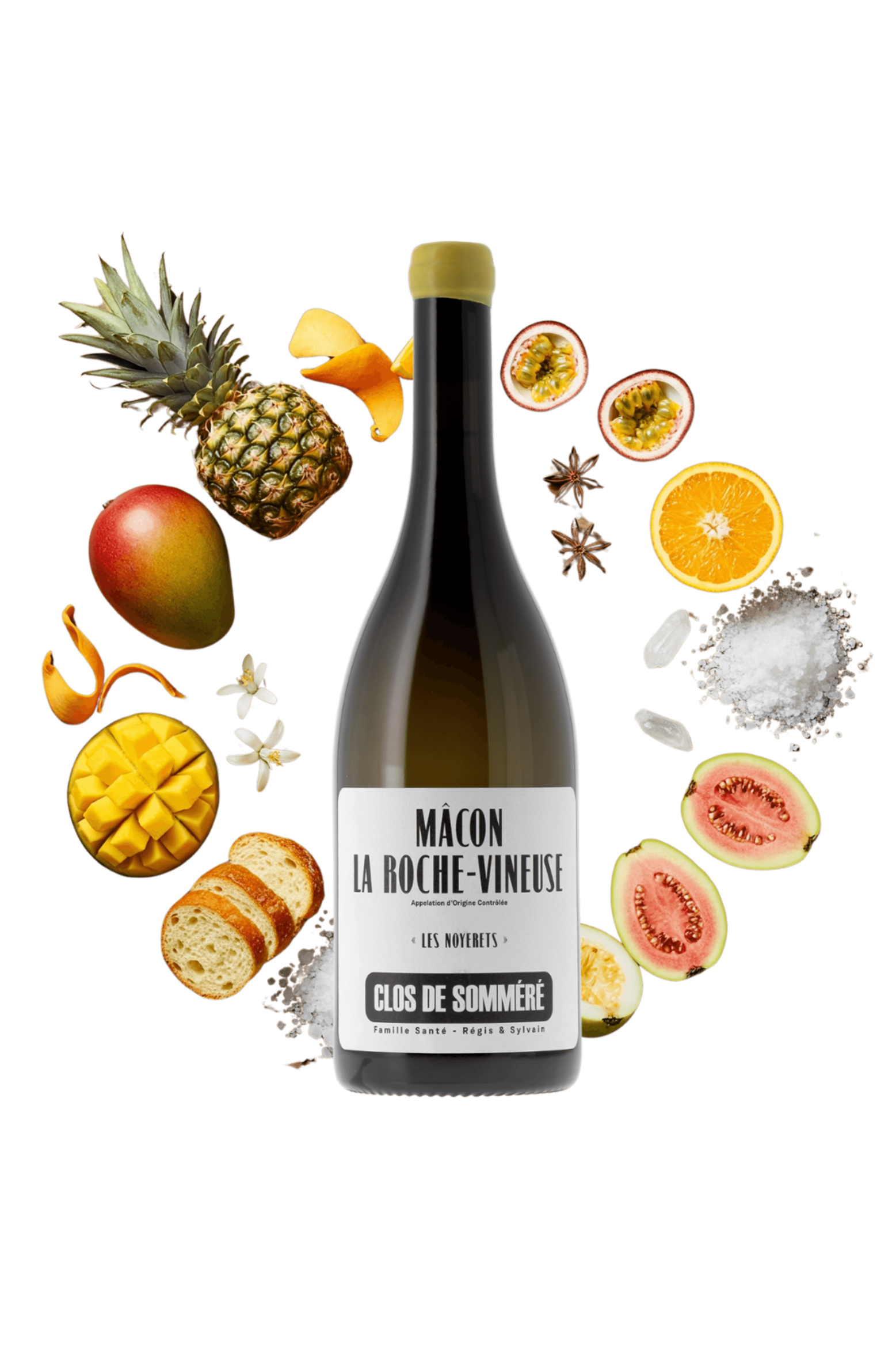 Mâcon La Roche-Vineuse Les Noyerets Clos de Somméré 2023 - frontbs