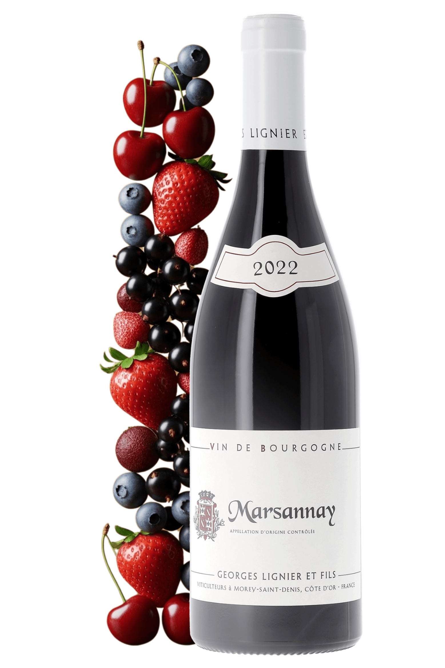 Marsannay Domaine Georges Lignier & Fils 2022 - frontbs