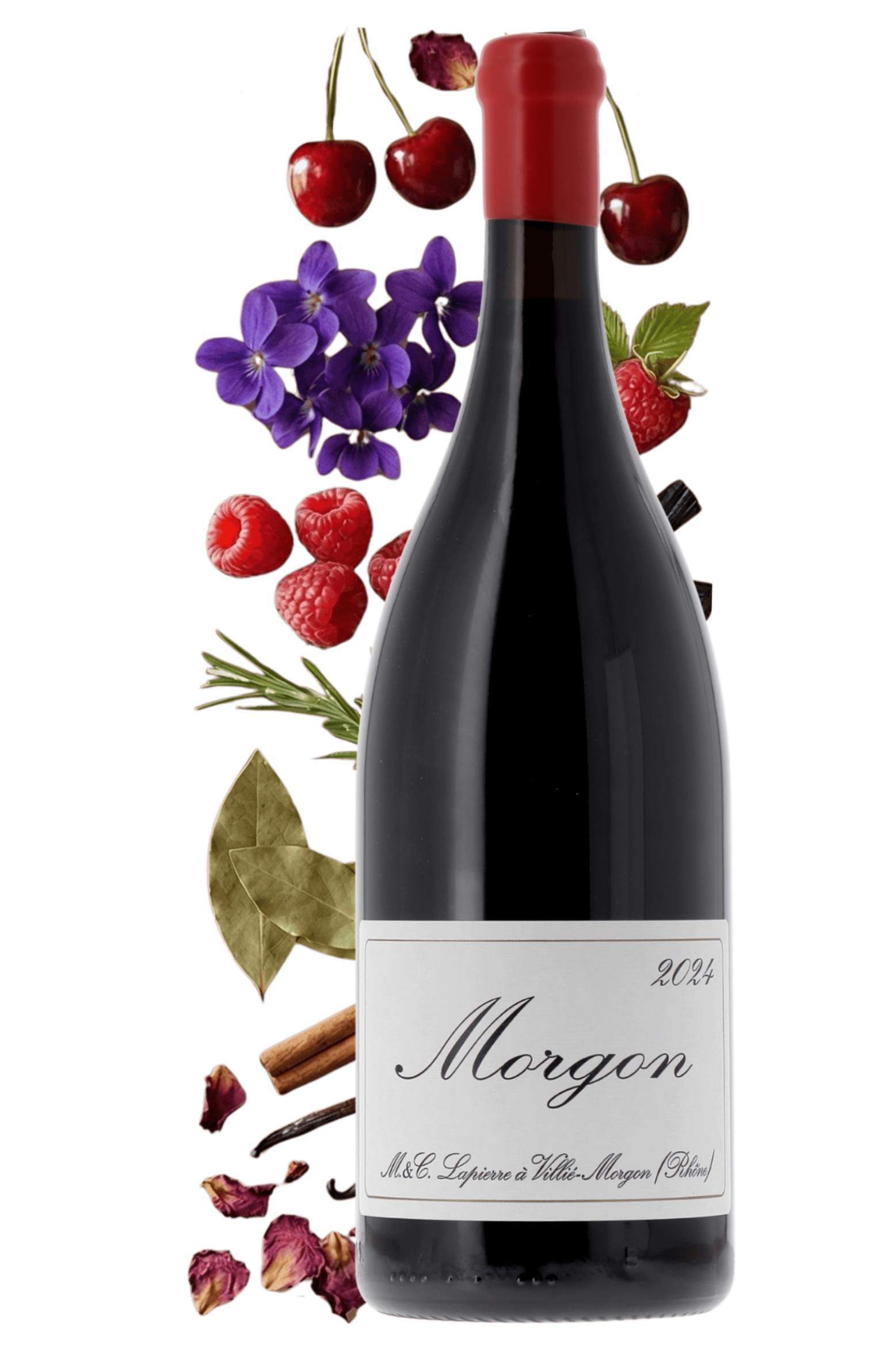 Morgon Domaine Marcel Lapierre 2024 150cl - frontbs
