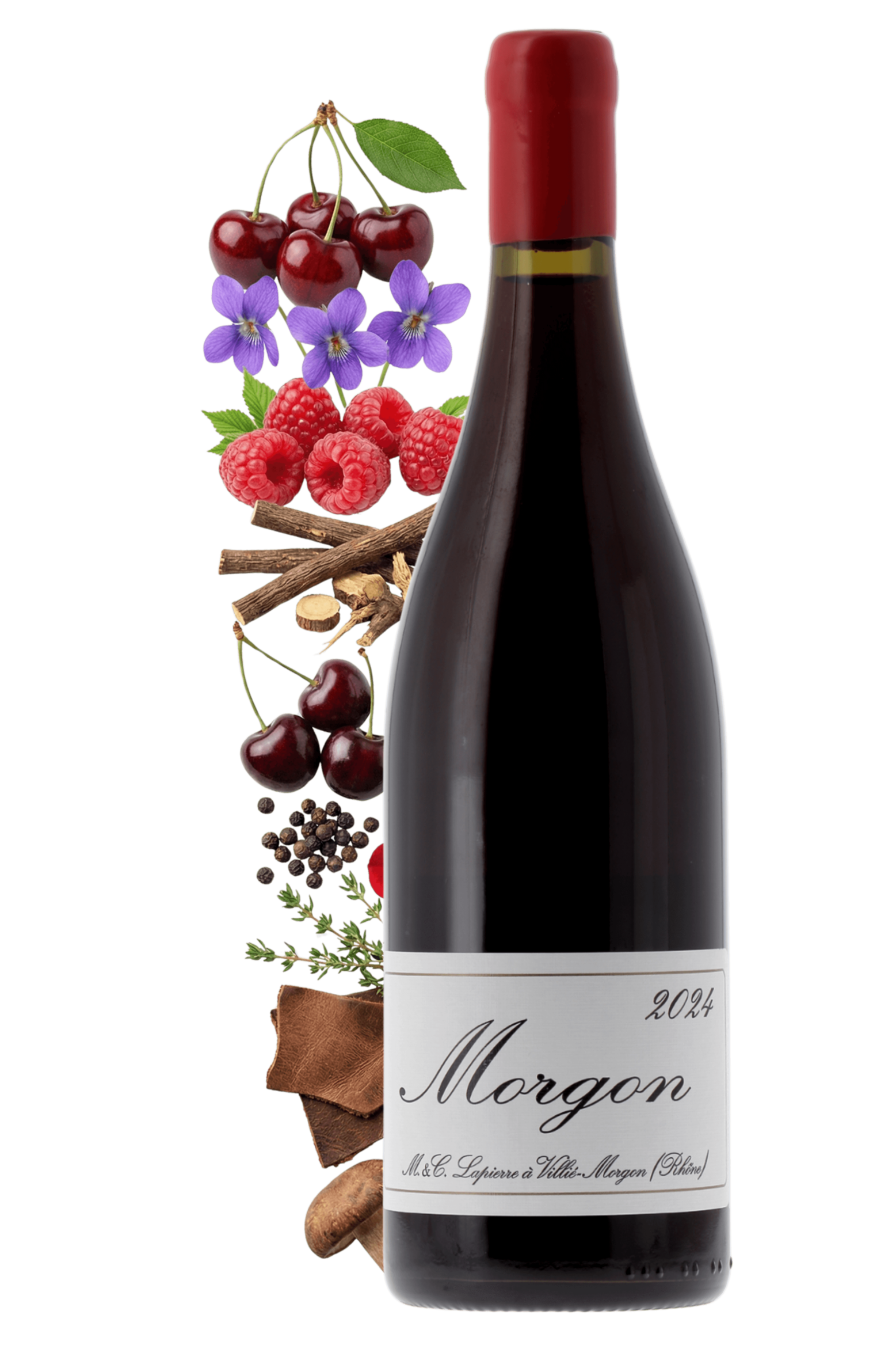Morgon Domaine Marcel Lapierre 2024 - frontbs