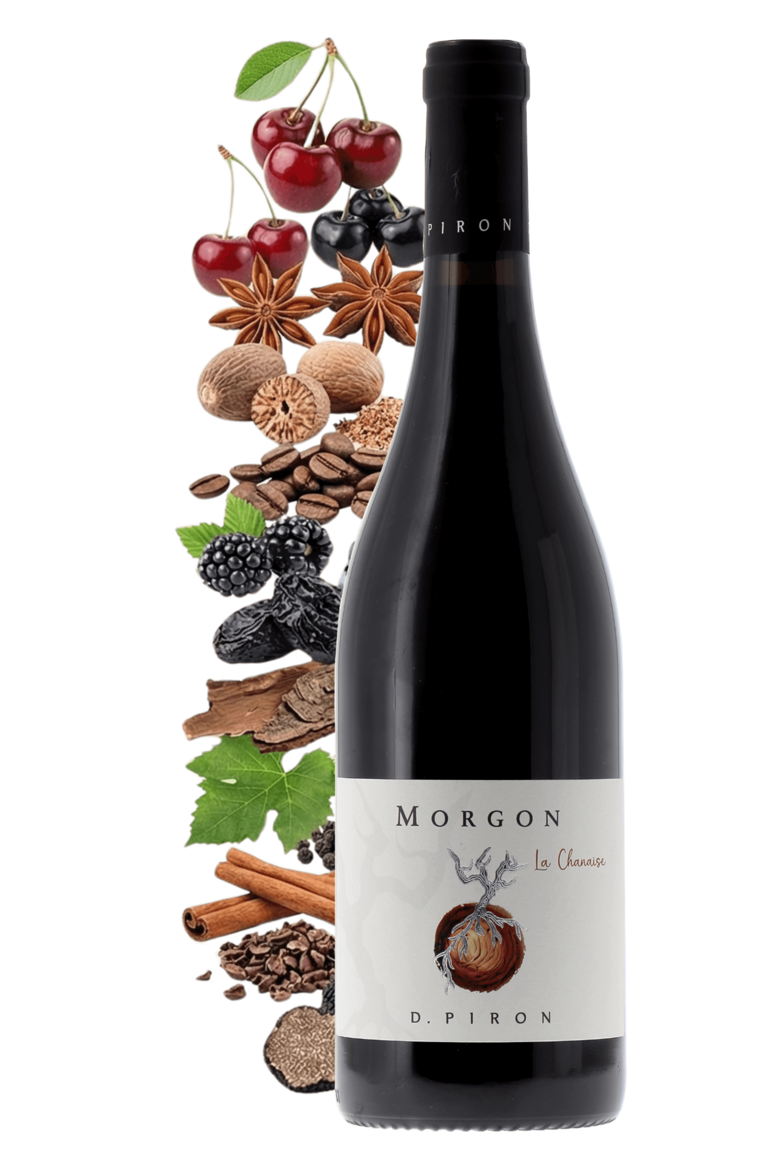 Morgon La Chanaise Domaine Dominique Piron 2022 - frontbs