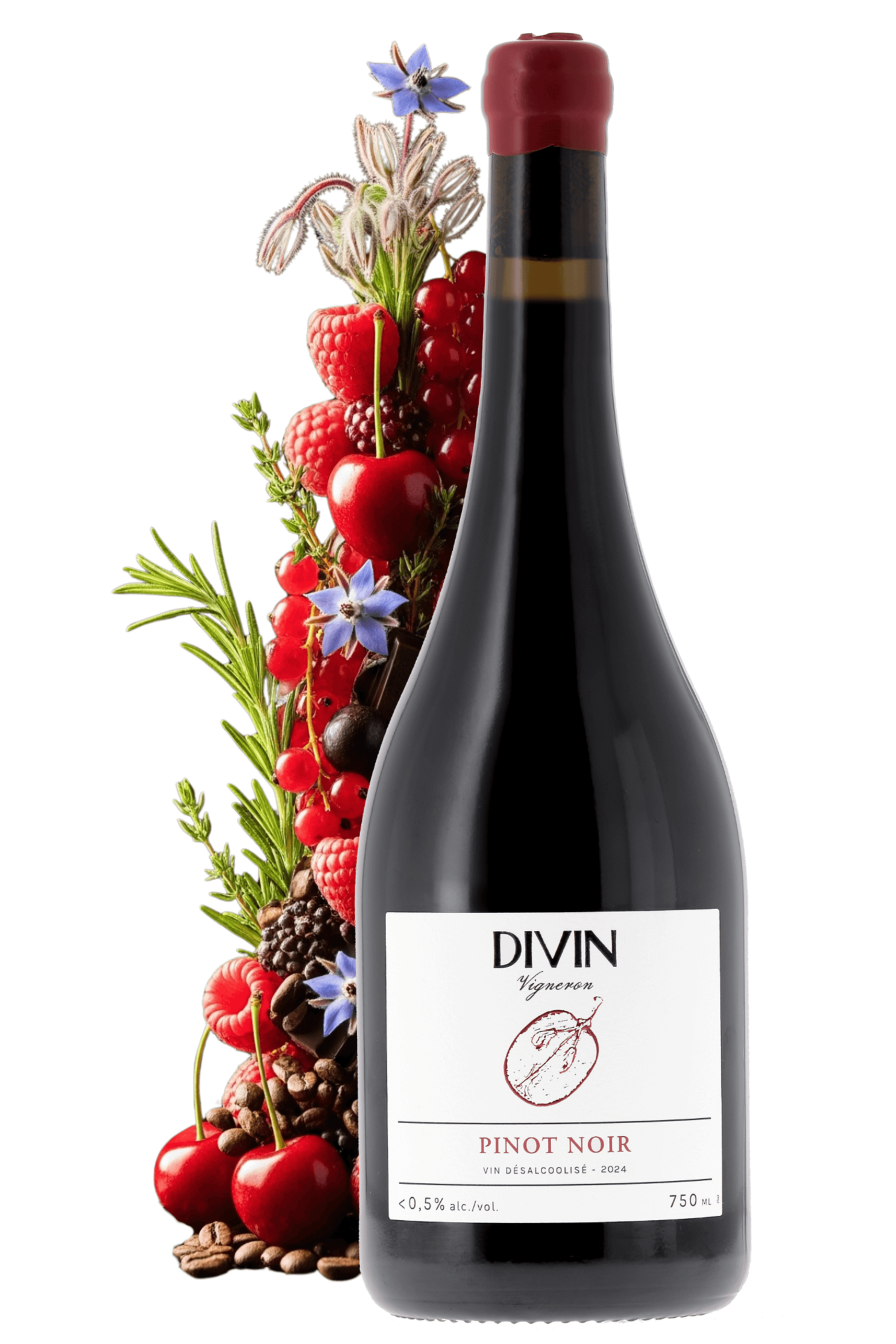 Divin Vigneron Pinot noir désalcoolisé Divin Nolow 2024 - frontbs