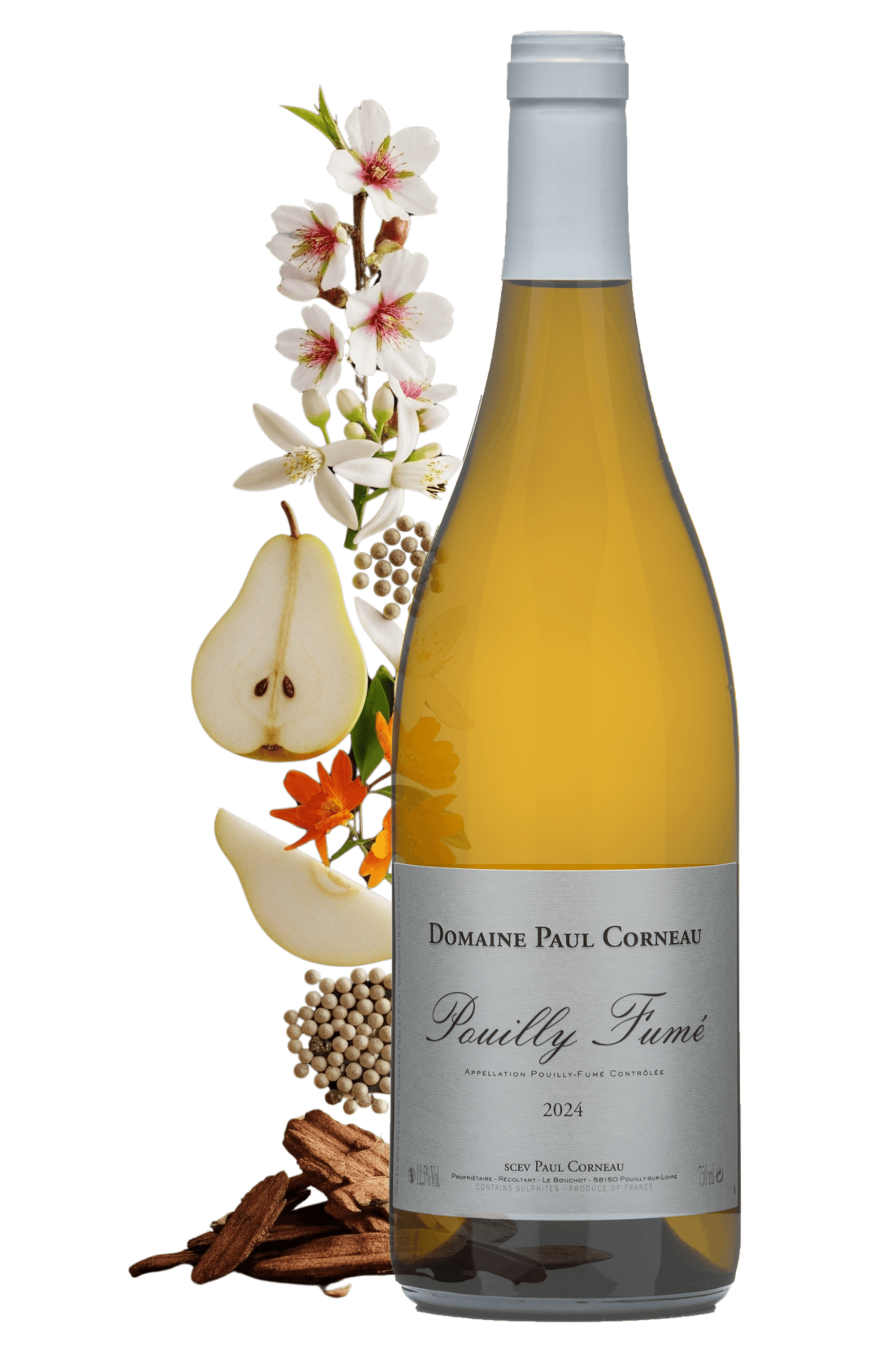 Pouilly-Fumé Le Bouchot Domaine Paul Corneau 2024 - frontbs