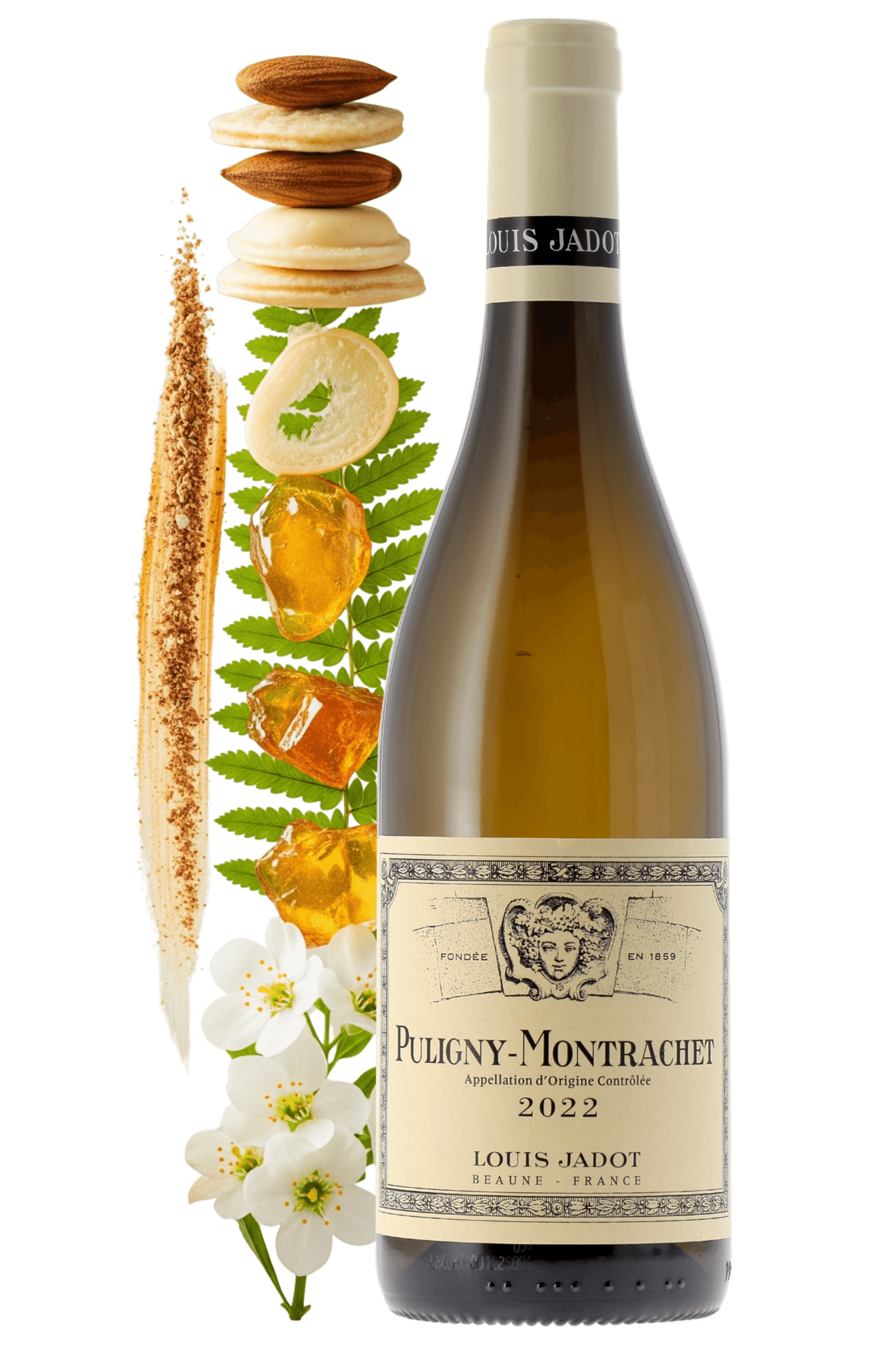 Puligny-Montrachet Louis Jadot 2022 - frontbs