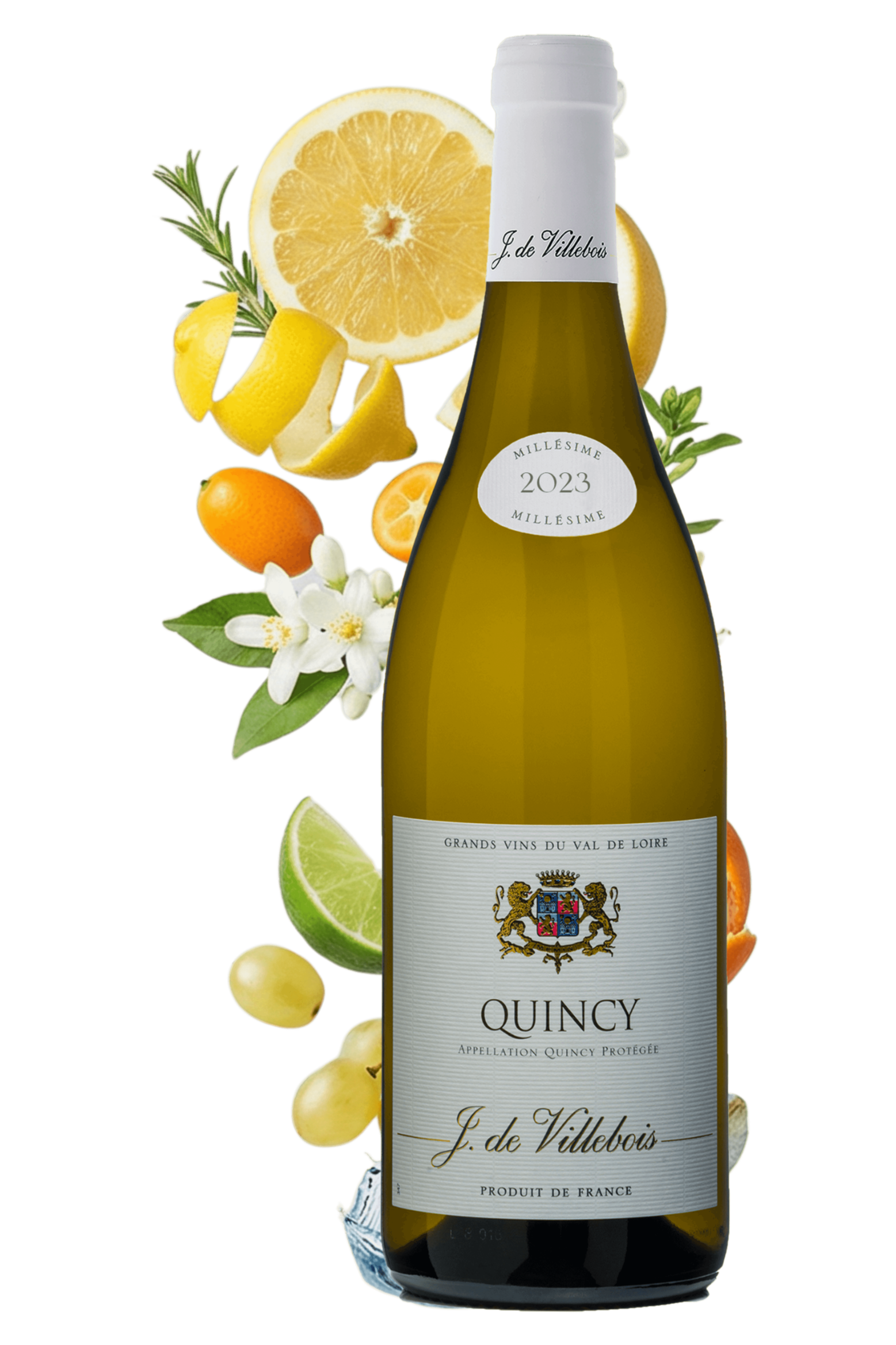 Quincy J. de Villebois 2023 - frontbs