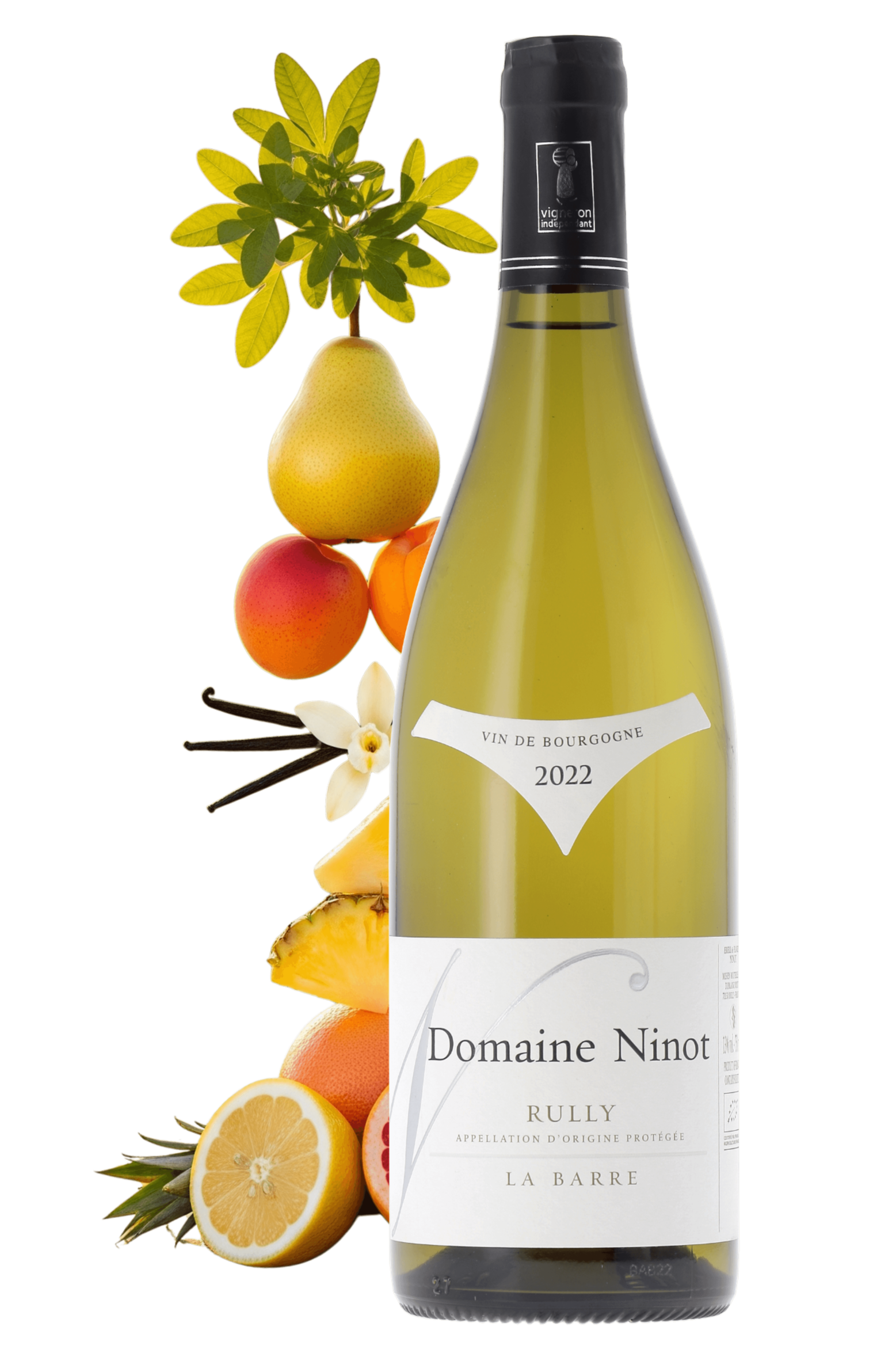 Rully La Barre Domaine Ninot 2022 - frontbs