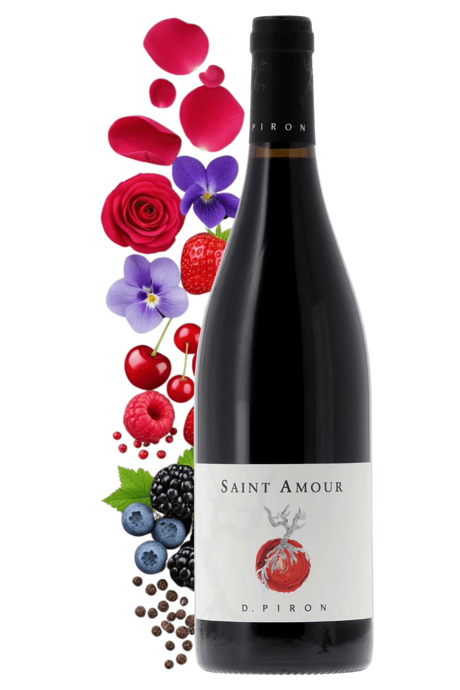 Saint-Amour Domaine Dominique Piron - frontbs