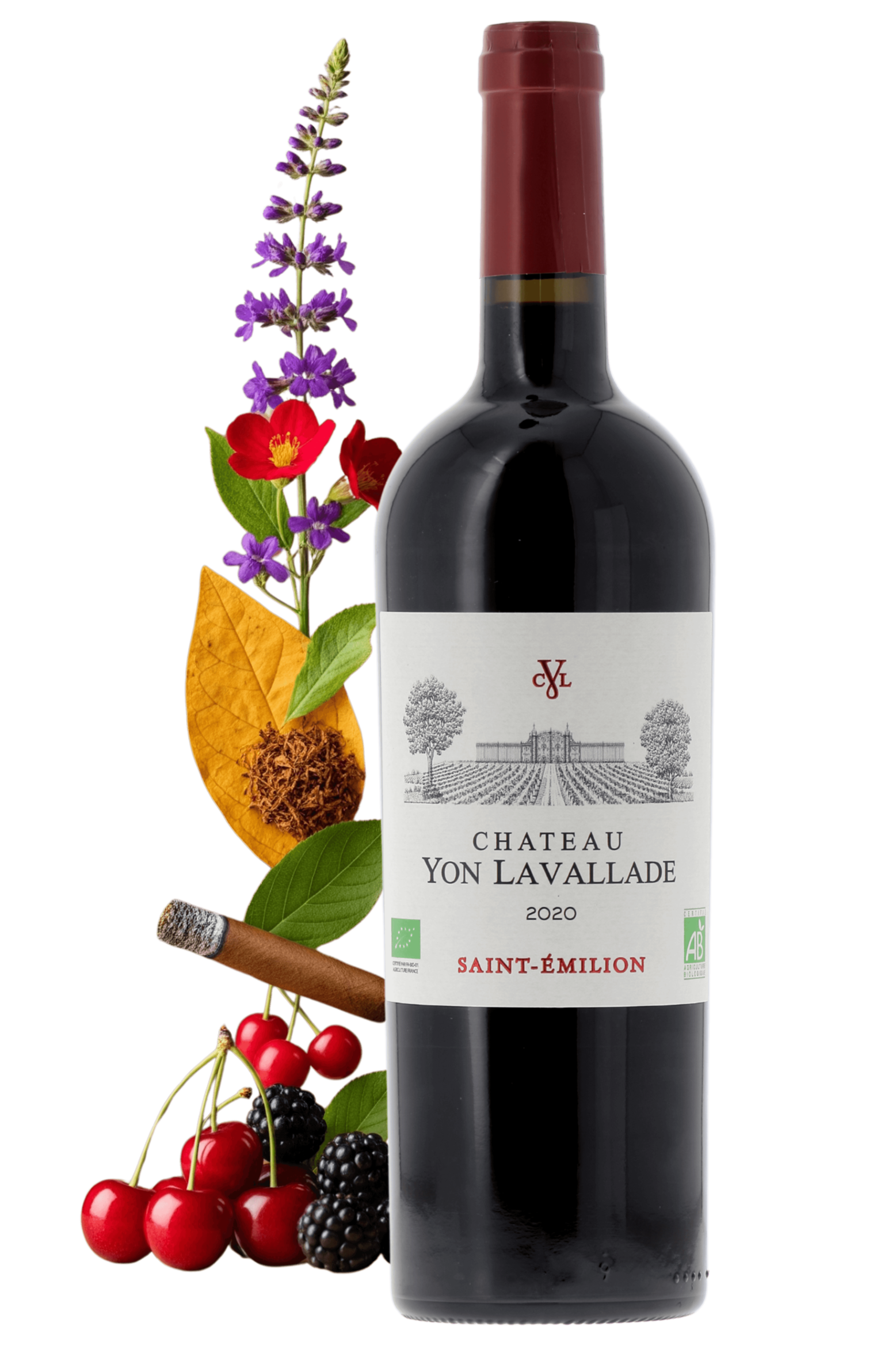 Saint-Emilion Château Yon Lavallade 2020 - frontbs