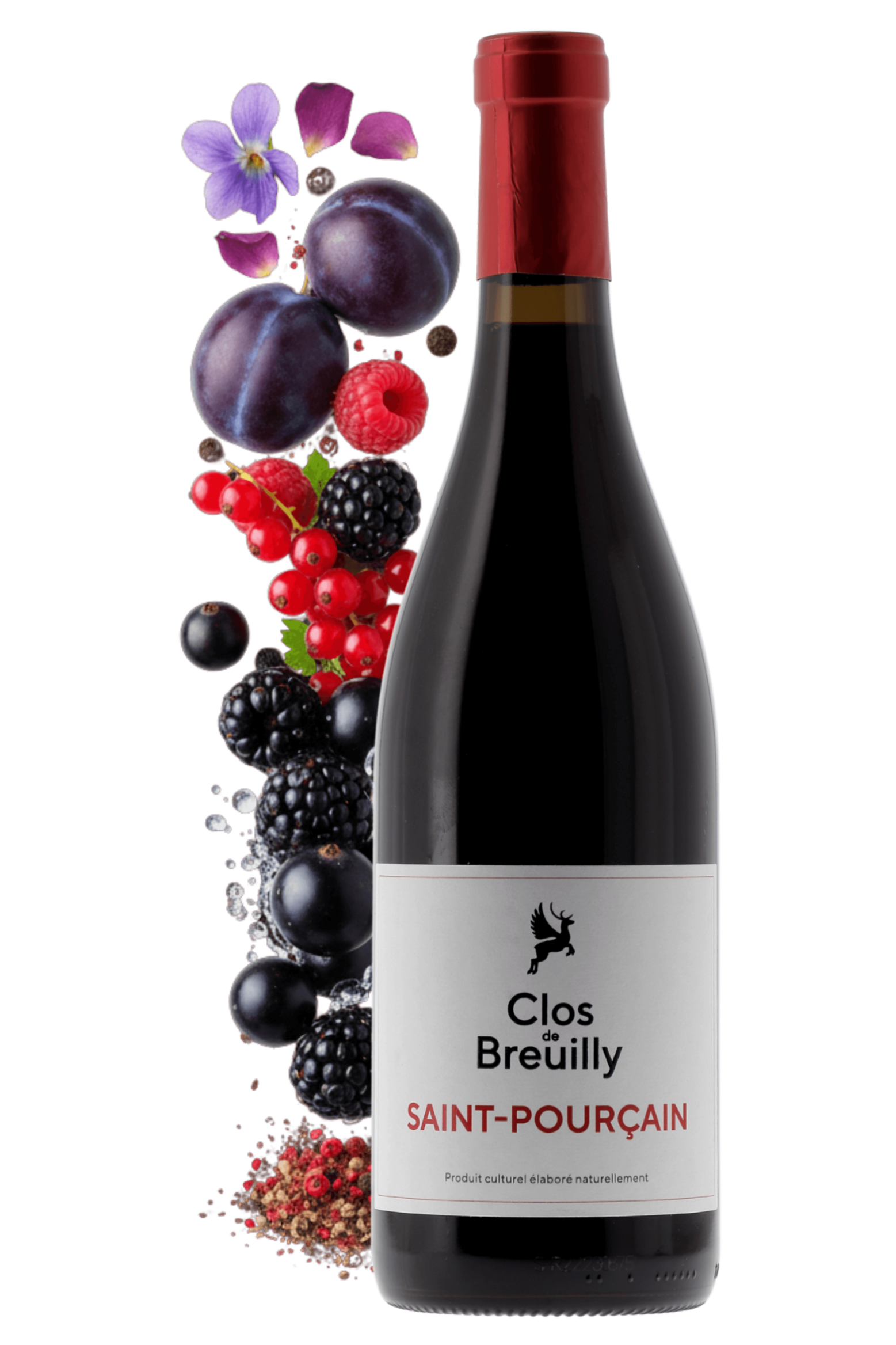 Saint-Pourçain Clos de Breuilly 2022 - frontbs