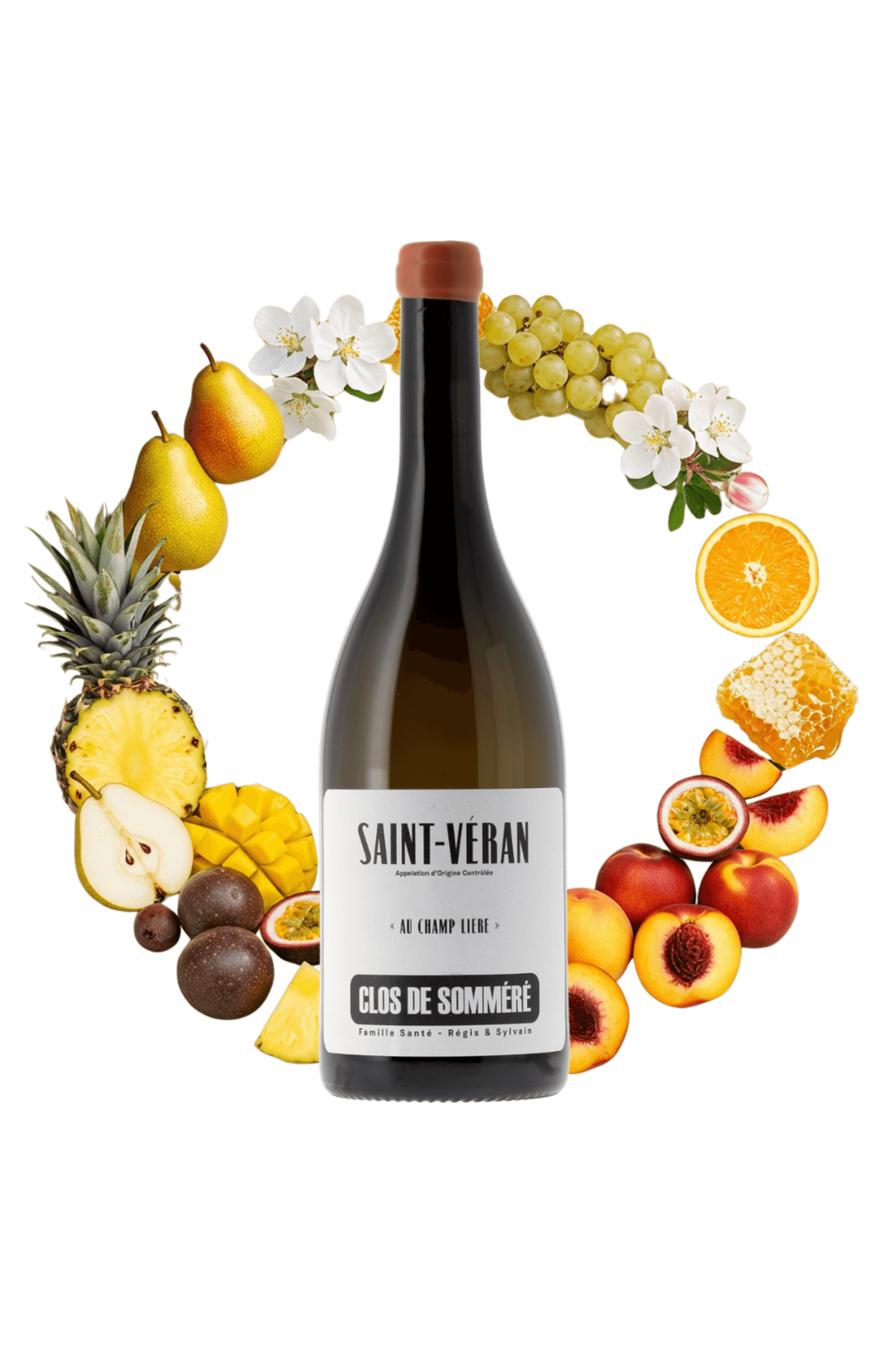 Saint-Véran Au Champ Lière Clos de Somméré 2023 - frontbs