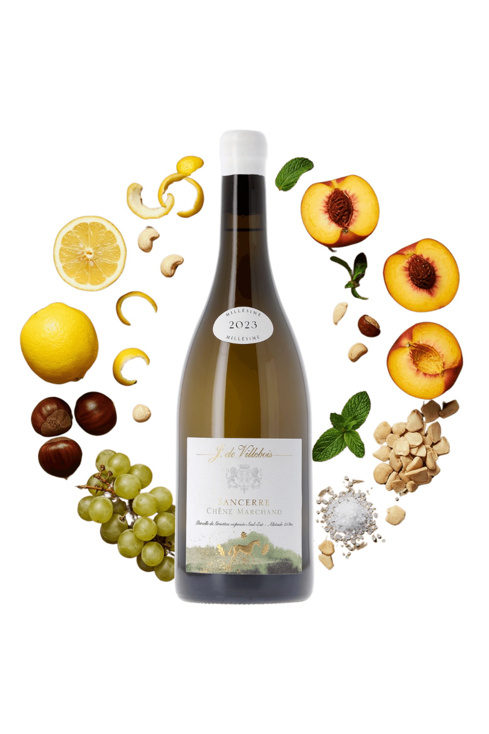 Sancerre Chêne Marchand J. de Villebois 2023 - frontbs