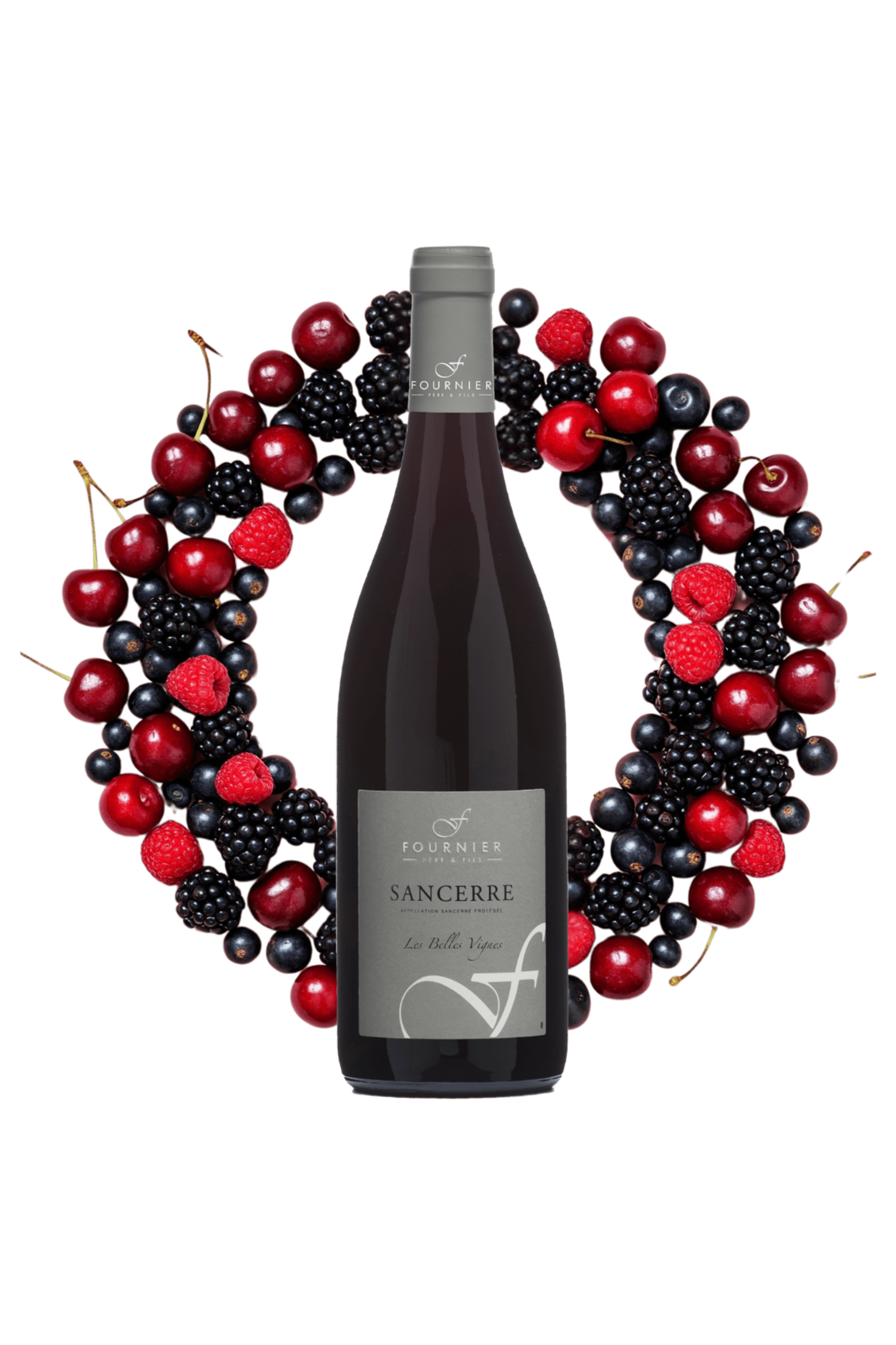 Sancerre Les Belles Vignes Fournier Père et Fils 2022 - frontbs